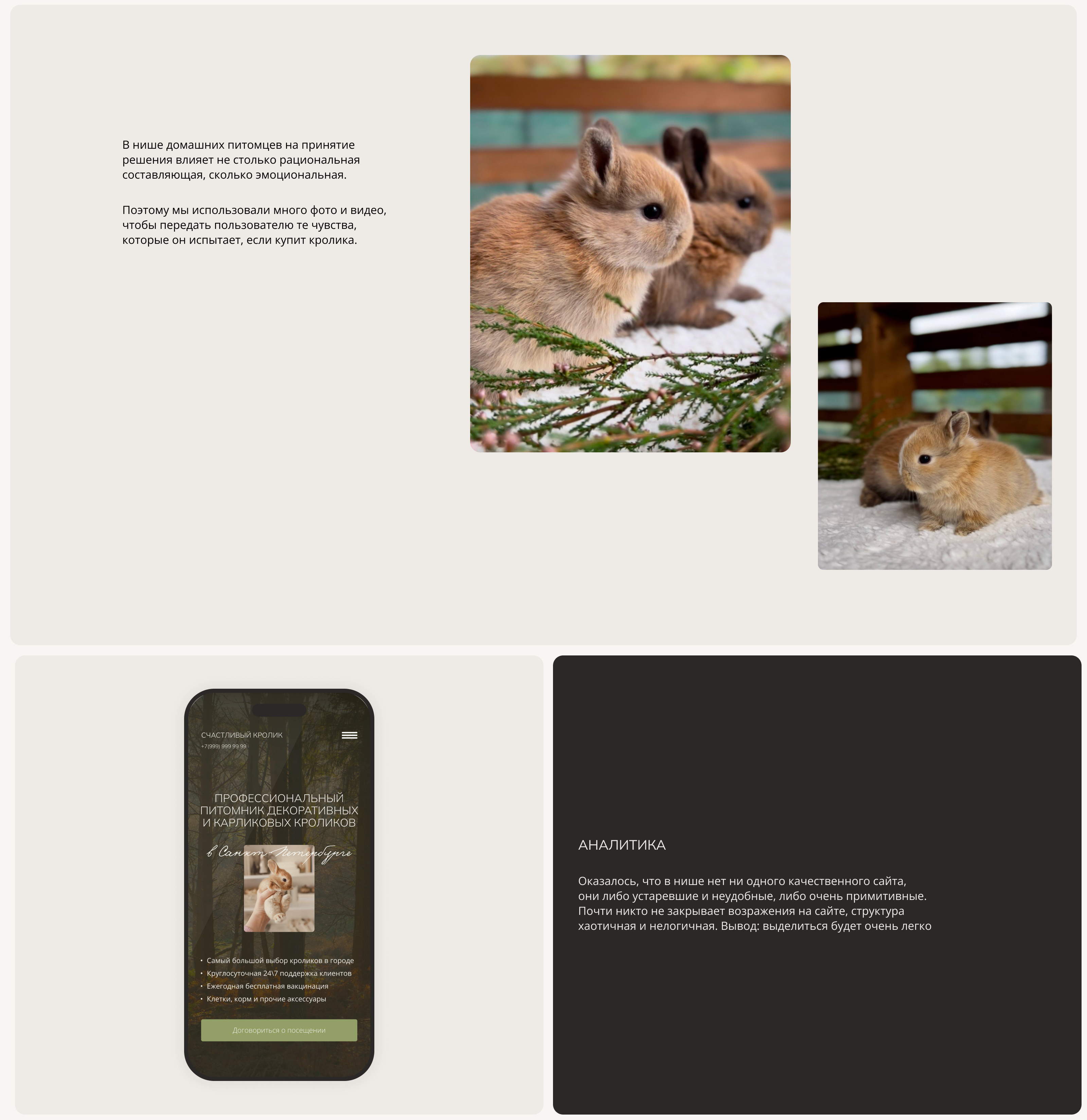 Сайт для питомника кроликов — Изображение №2 — Интерфейсы, Маркетинг на Dprofile