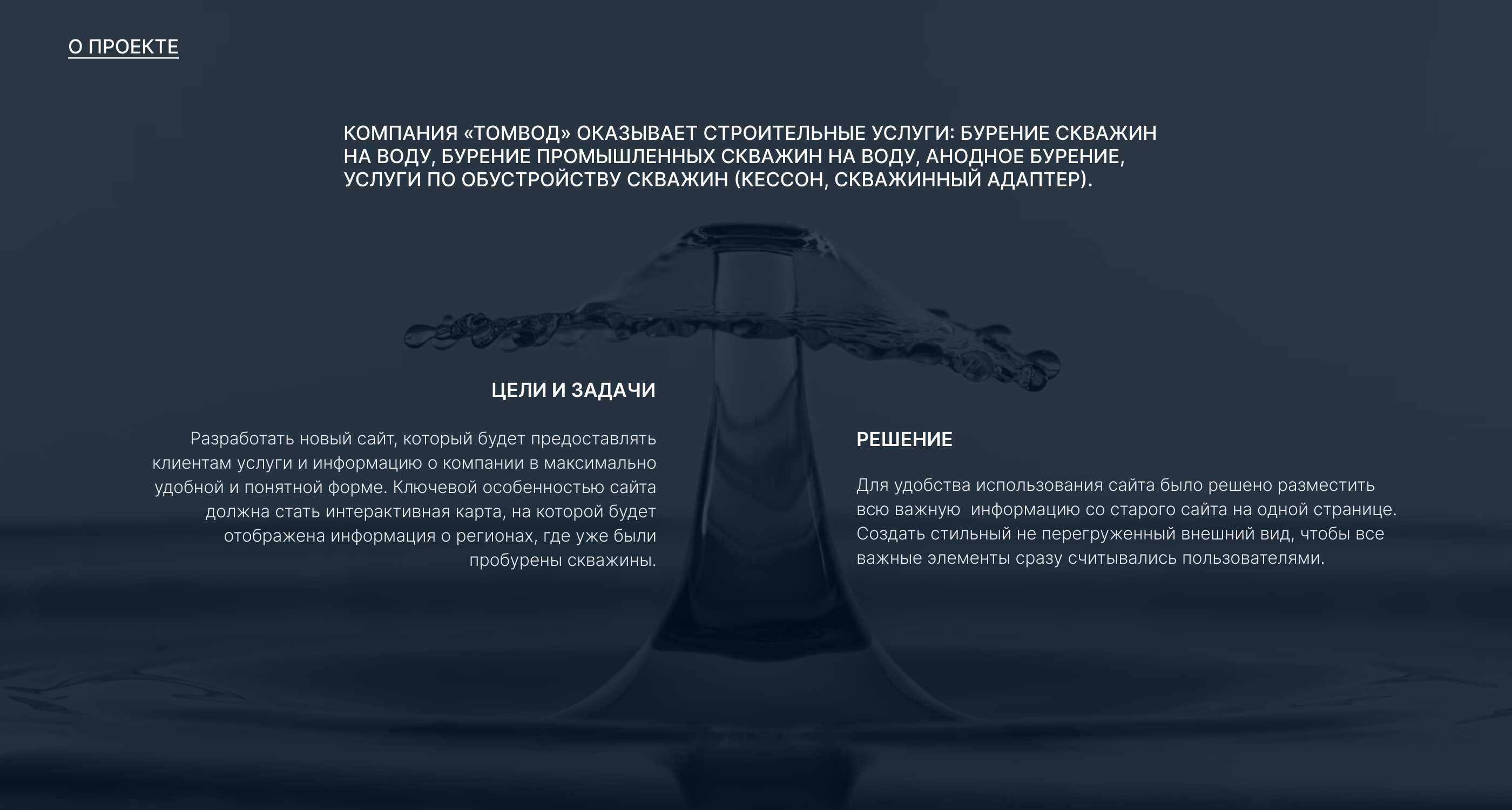 ТОМВОД. Корпоративный сайт — Изображение №2 — Интерфейсы на Dprofile