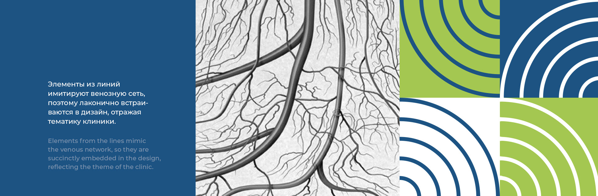 VenoClinica | Медицинский центр флебологии — Изображение №5 — Брендинг, Графика на Dprofile
