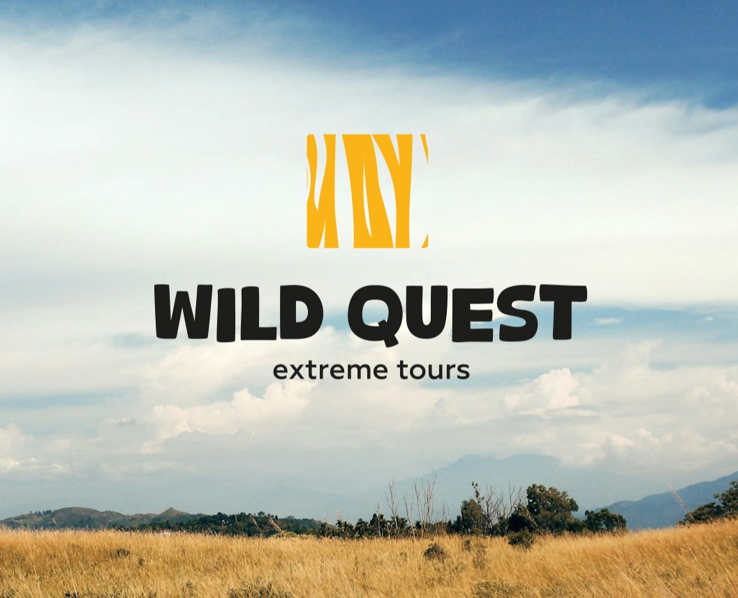 Логотип Wild quest на Dprofile