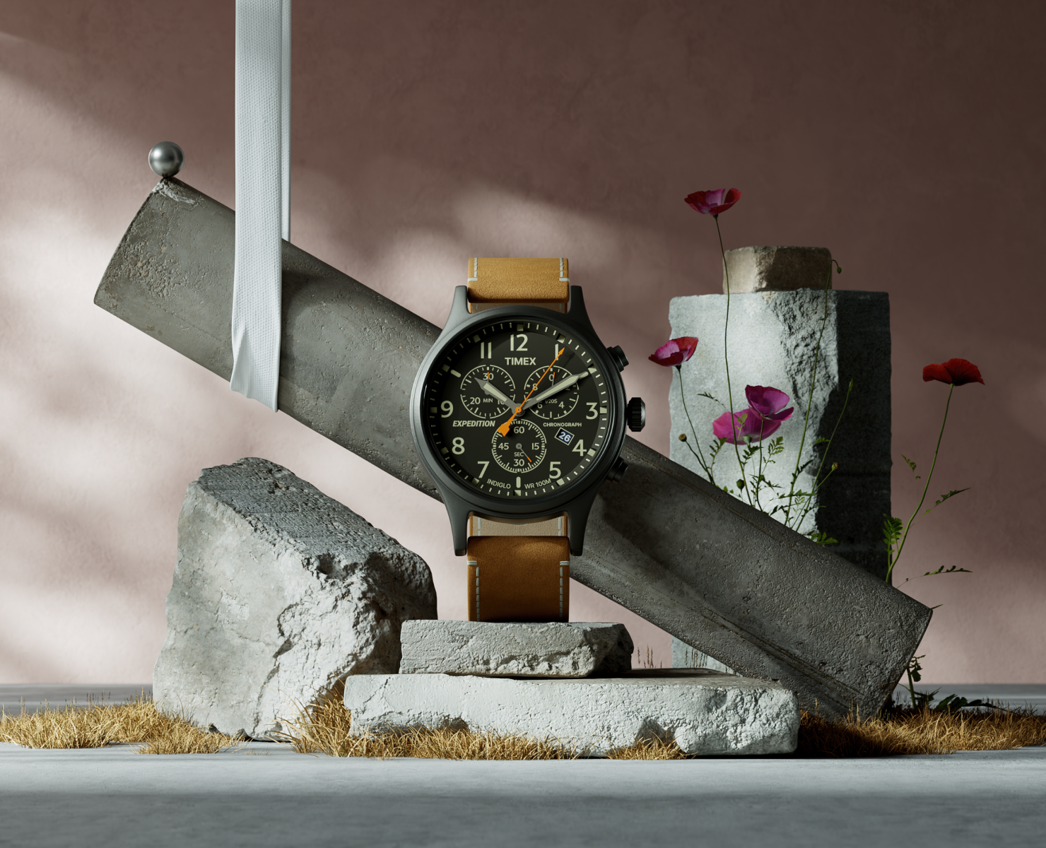 Timex Watch — Иллюстрация, 3D на Dprofile