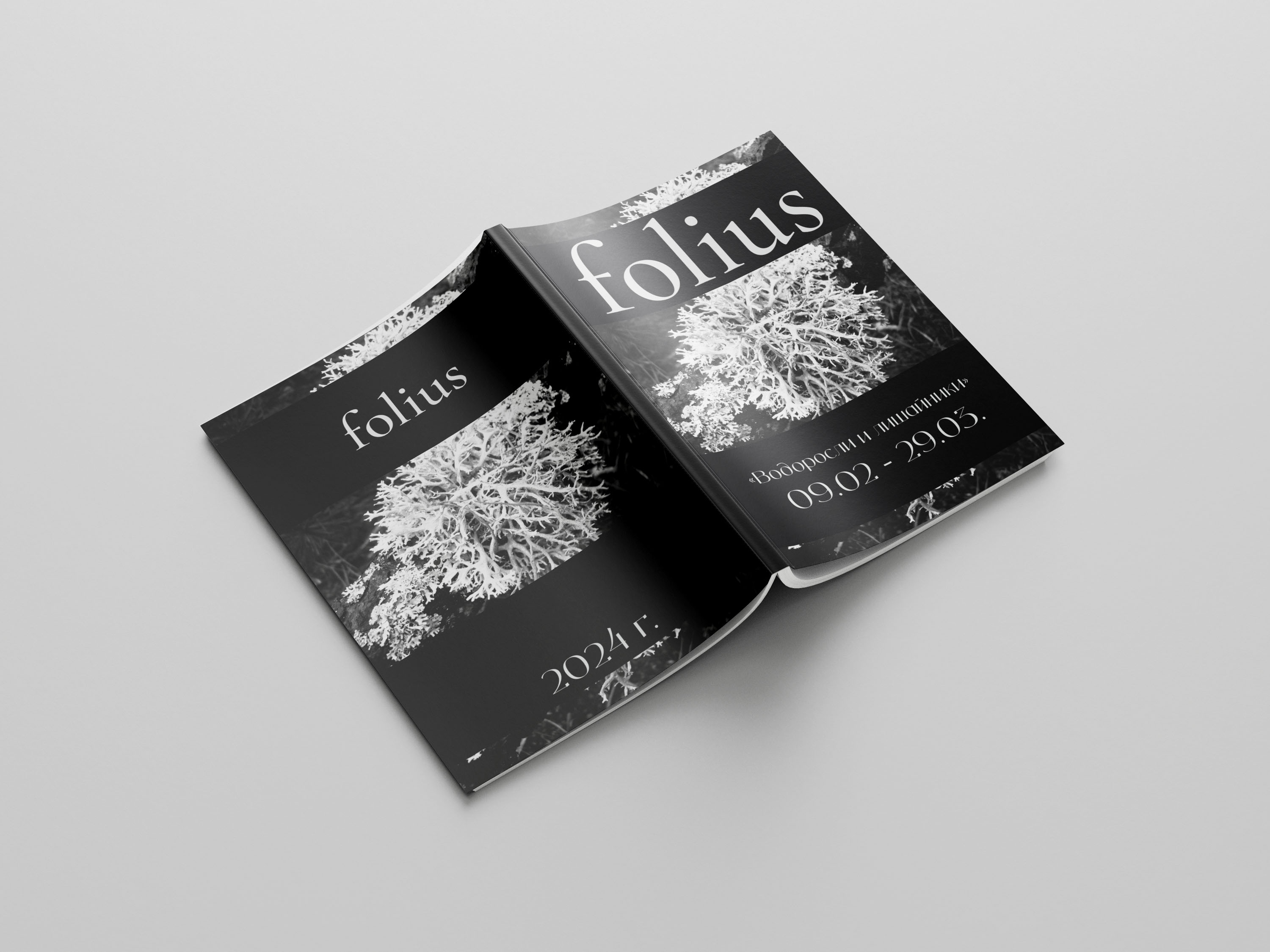 Брошюра folius/Brochure Design — Изображение №1 — Графика на Dprofile