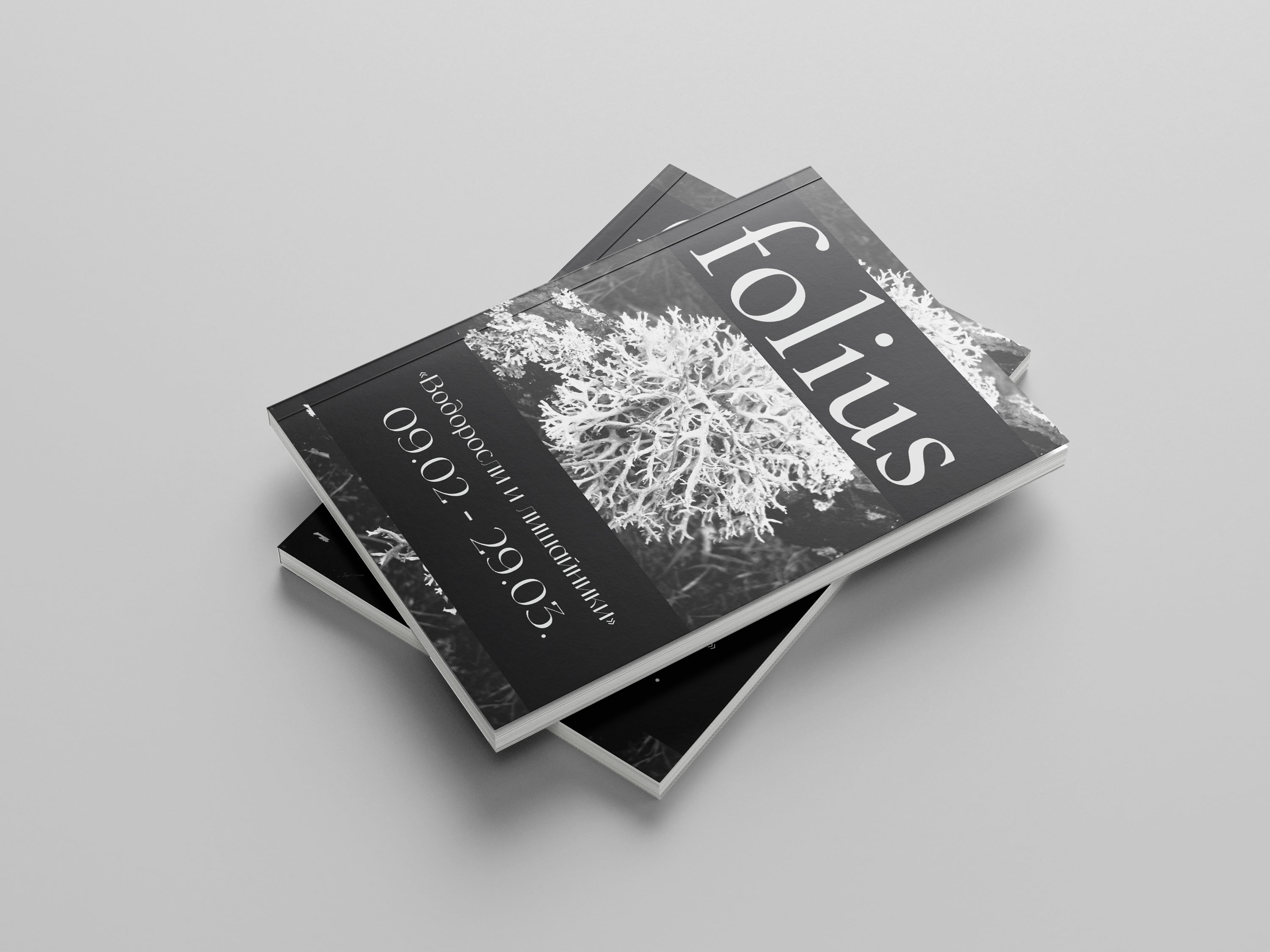 Брошюра folius/Brochure Design — Изображение №3 — Графика на Dprofile