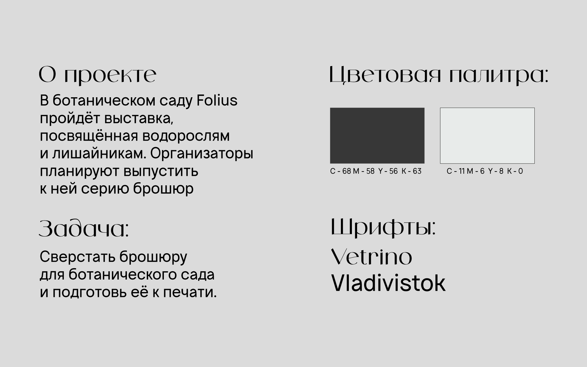 Брошюра folius/Brochure Design — Изображение №2 — Графика на Dprofile