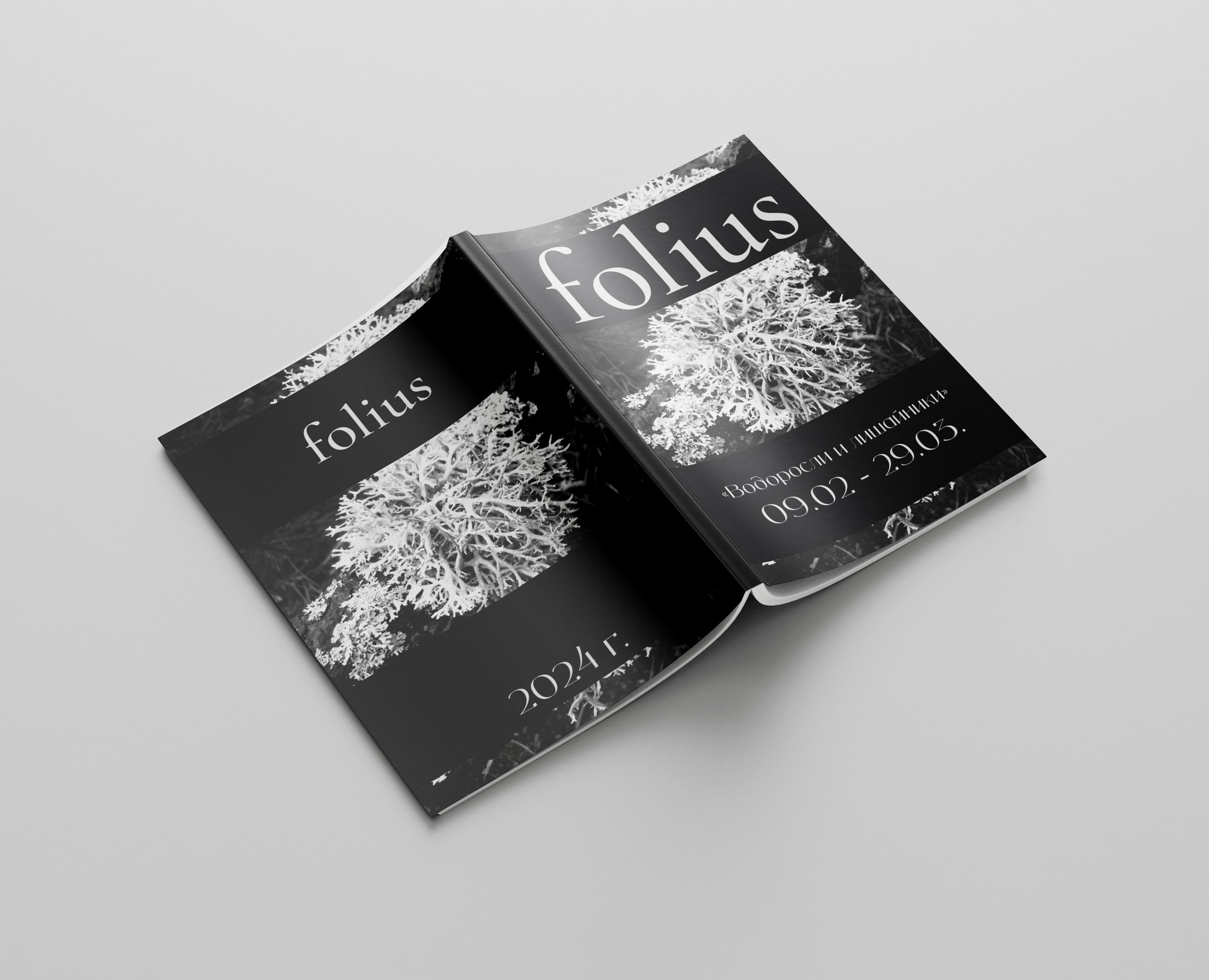Брошюра folius/Brochure Design — Графика на Dprofile
