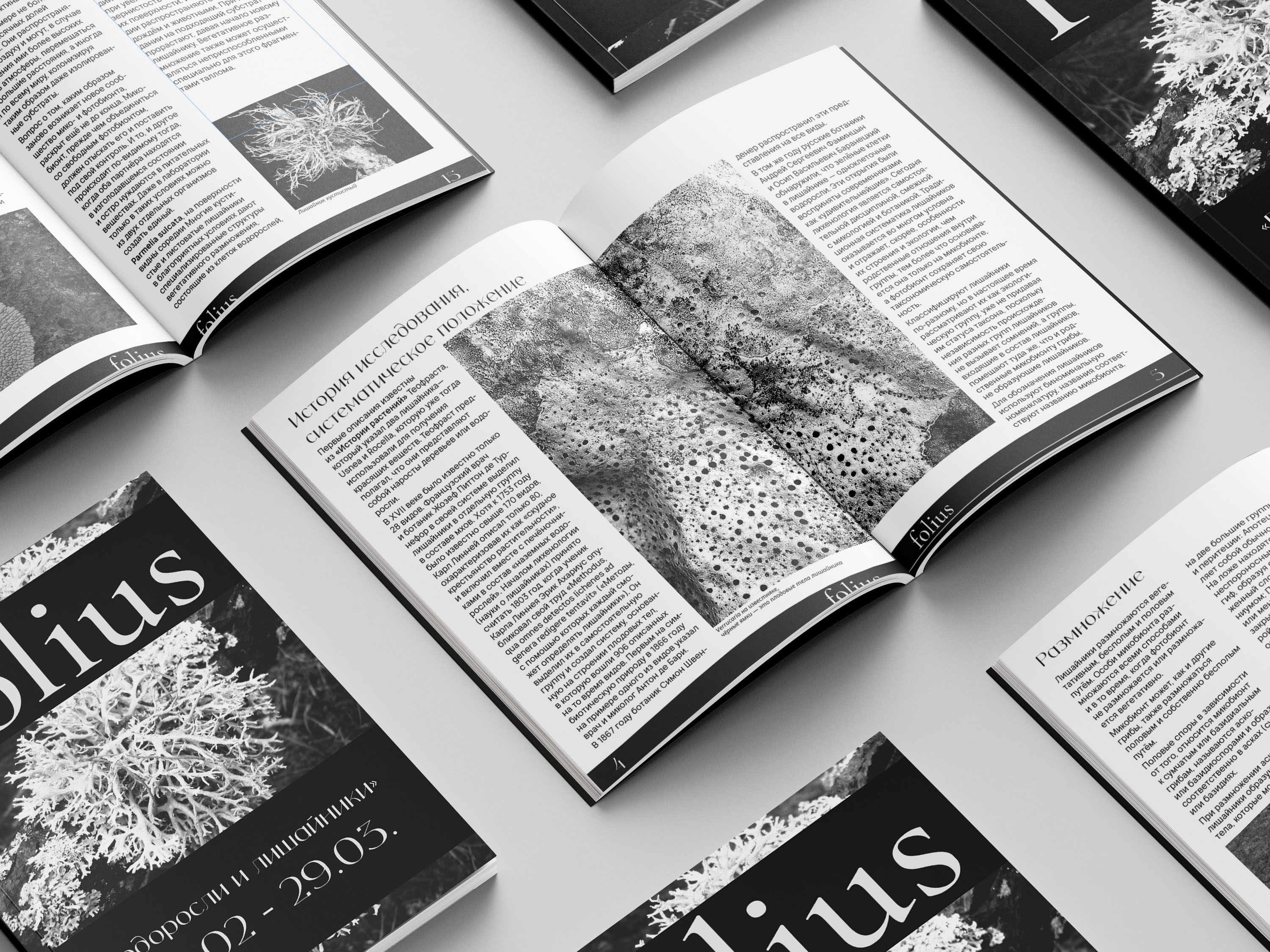 Брошюра folius/Brochure Design — Изображение №6 — Графика на Dprofile