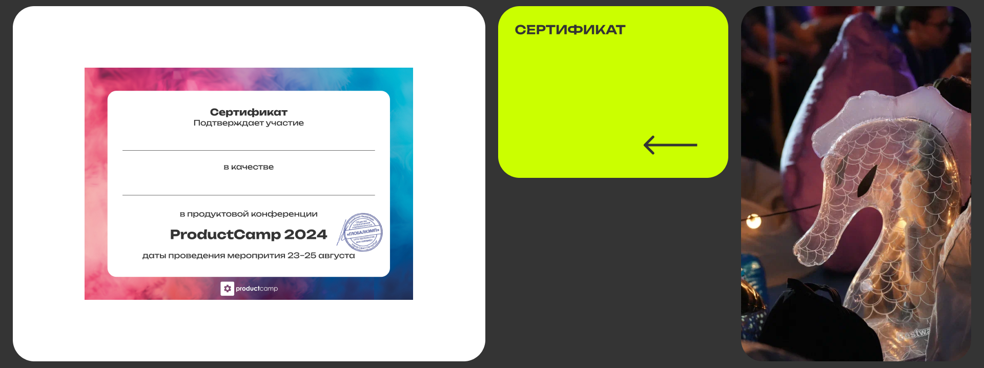 ProductCamp лето 2024 — Изображение №5 — Брендинг, Графика на Dprofile