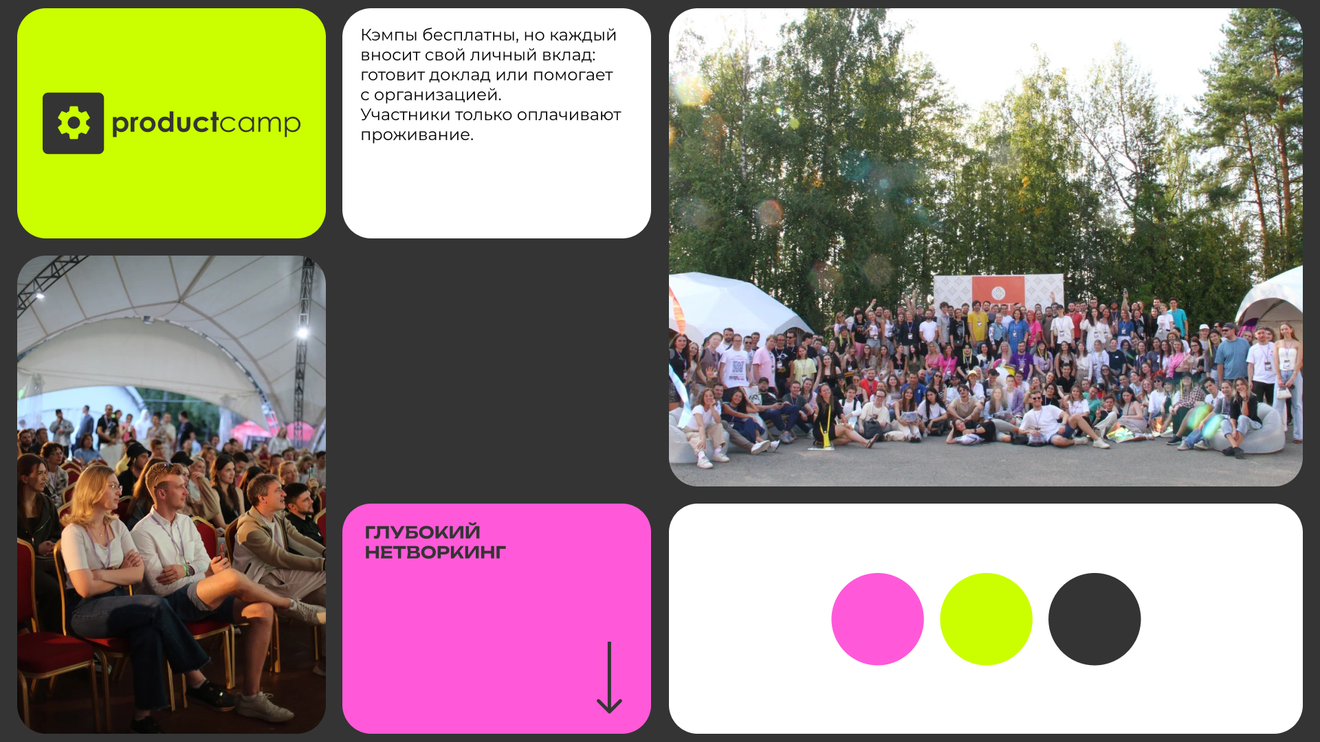 ProductCamp лето 2024 — Изображение №1 — Брендинг, Графика на Dprofile