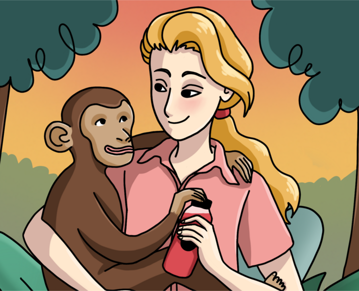 Иллюстрации для Botanika Bar — Иллюстрация на Dprofile