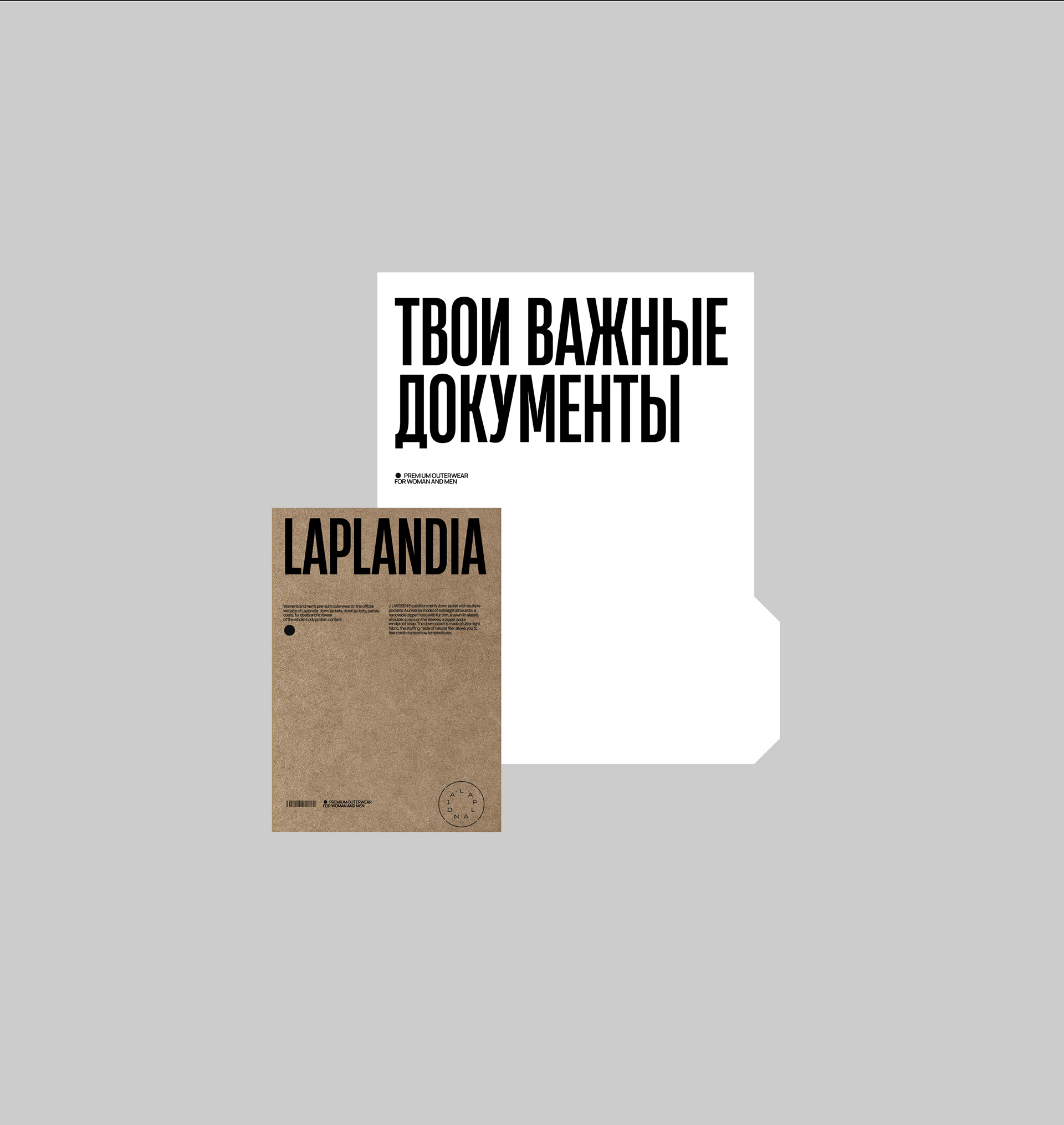 Laplandia — Изображение №5 — Брендинг на Dprofile