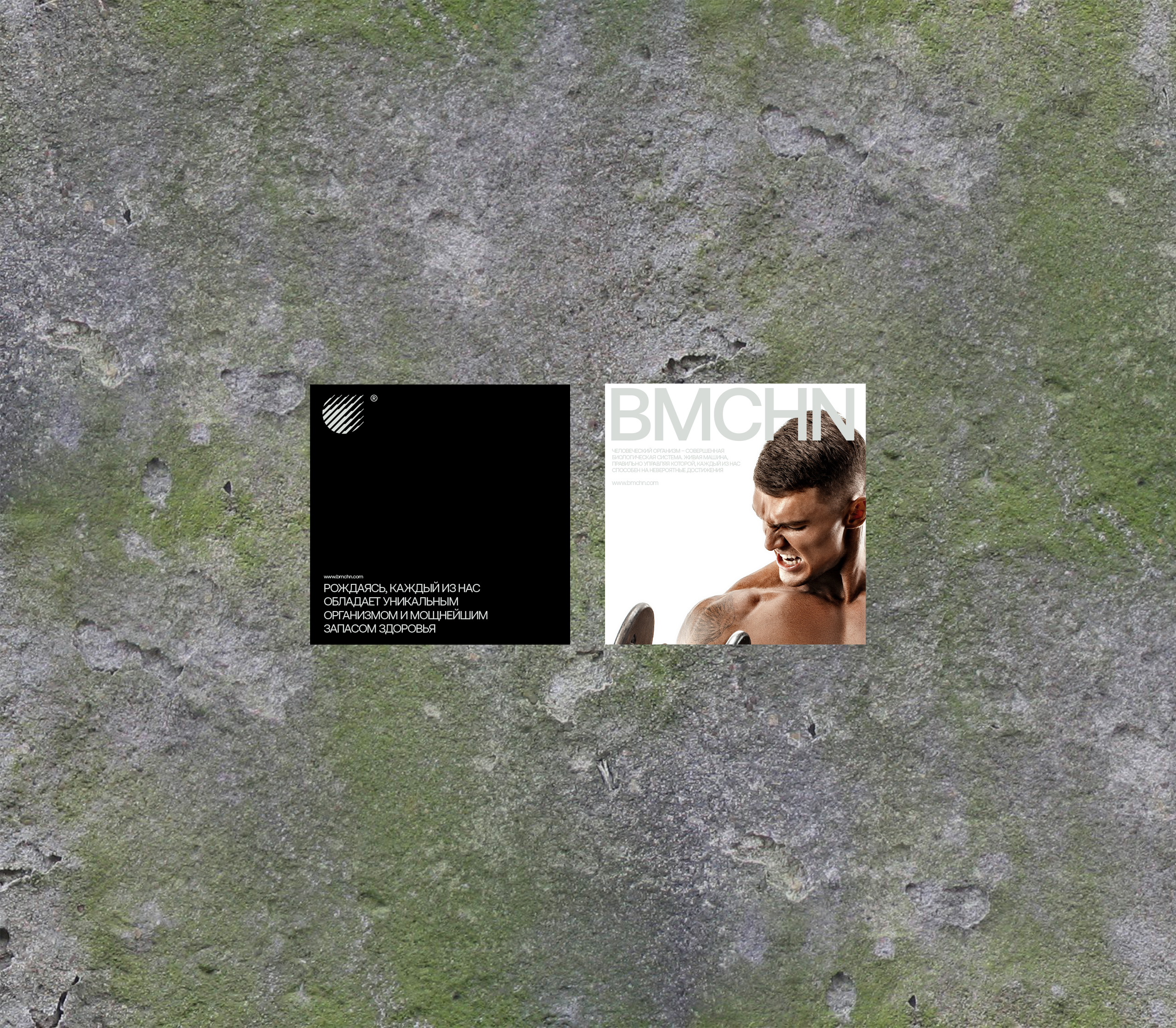 Biomachine — Изображение №17 — Брендинг на Dprofile