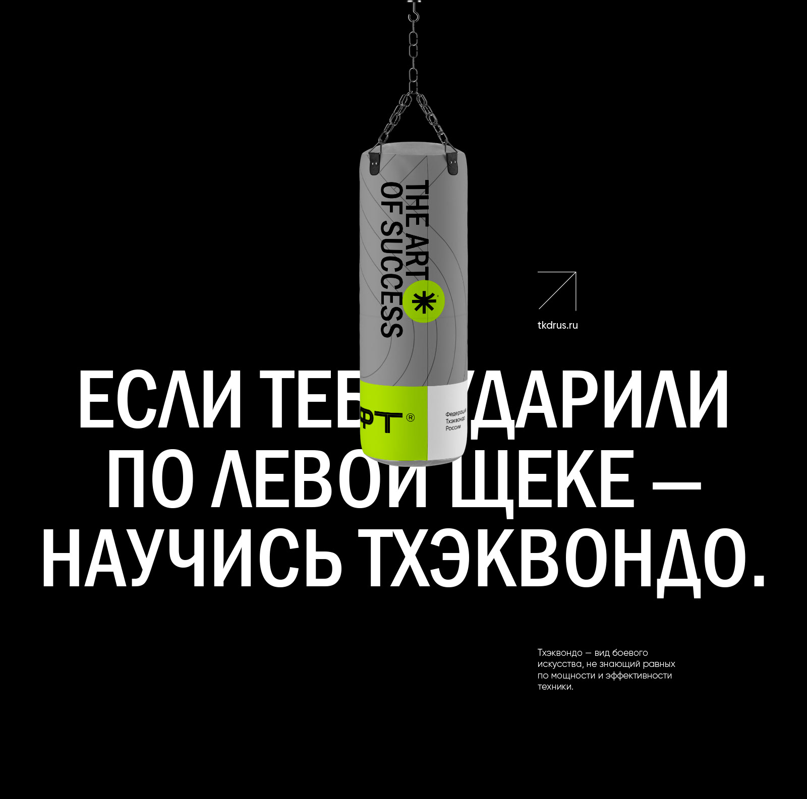 МФТ. Федерация Тхэквондо России. 2021 — Изображение №4 — Брендинг на Dprofile