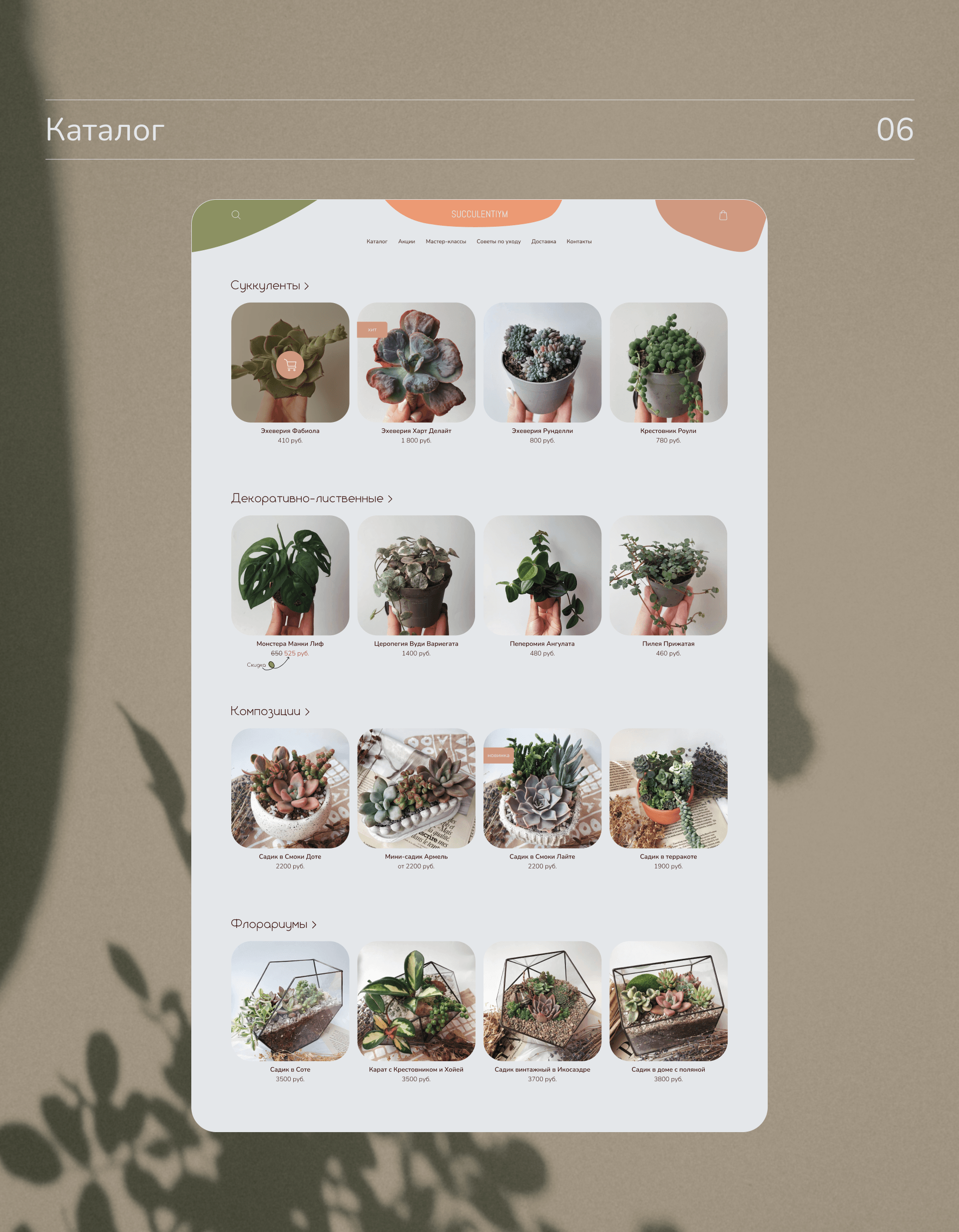 Интернет-магазин SUCCULENTIYM — Изображение №8 — Интерфейсы на Dprofile