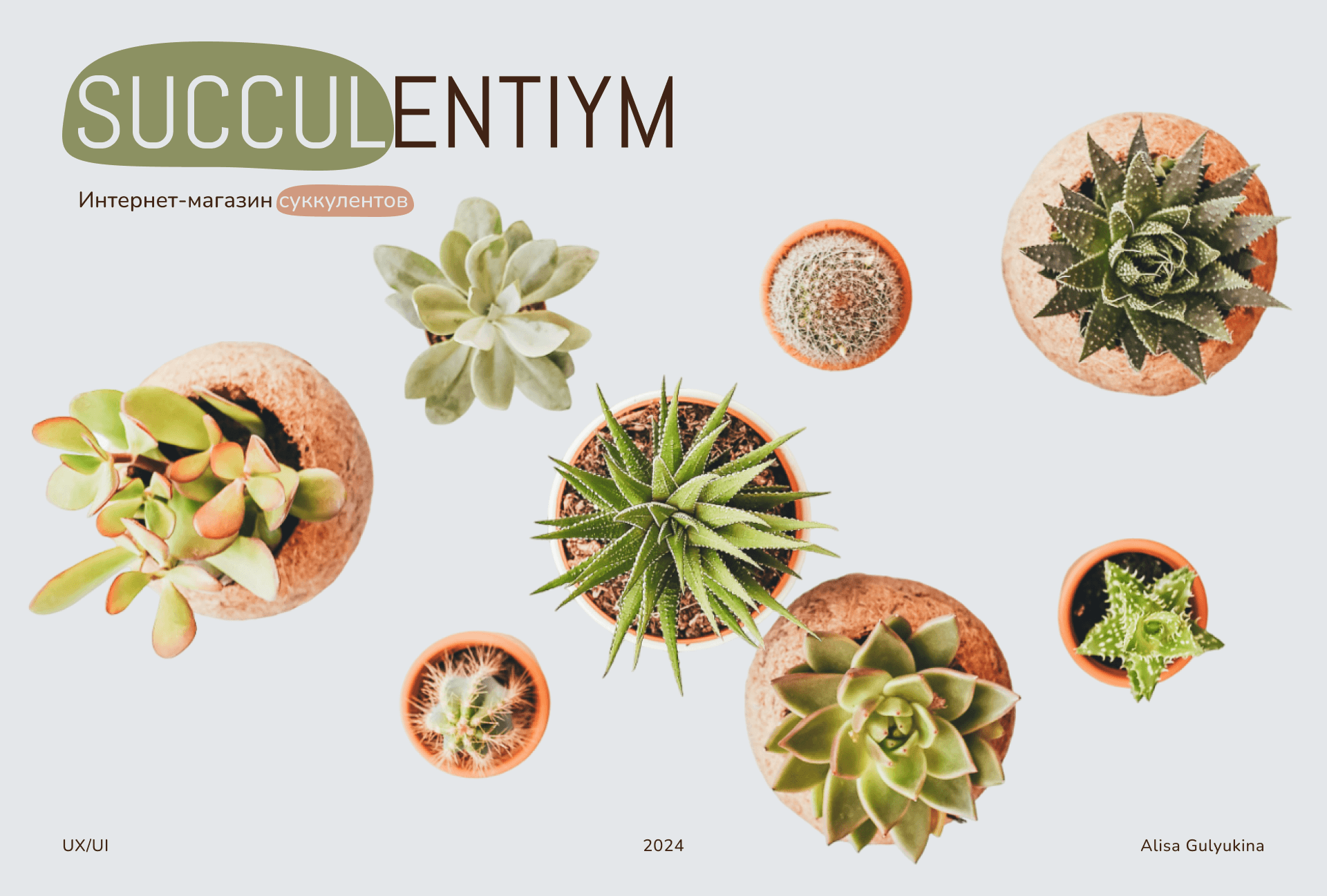 Интернет-магазин SUCCULENTIYM — Изображение №1 — Интерфейсы на Dprofile