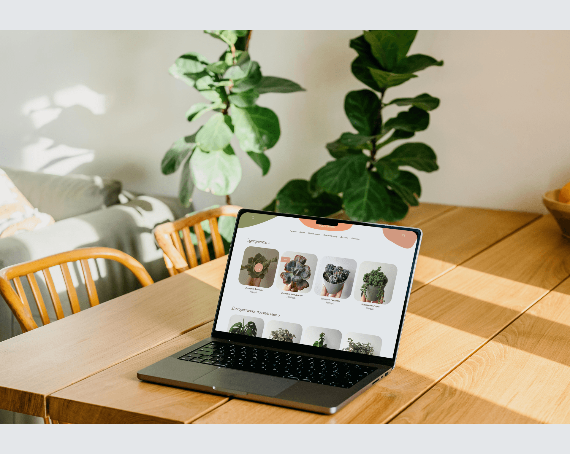 Интернет-магазин SUCCULENTIYM — Изображение №10 — Интерфейсы на Dprofile