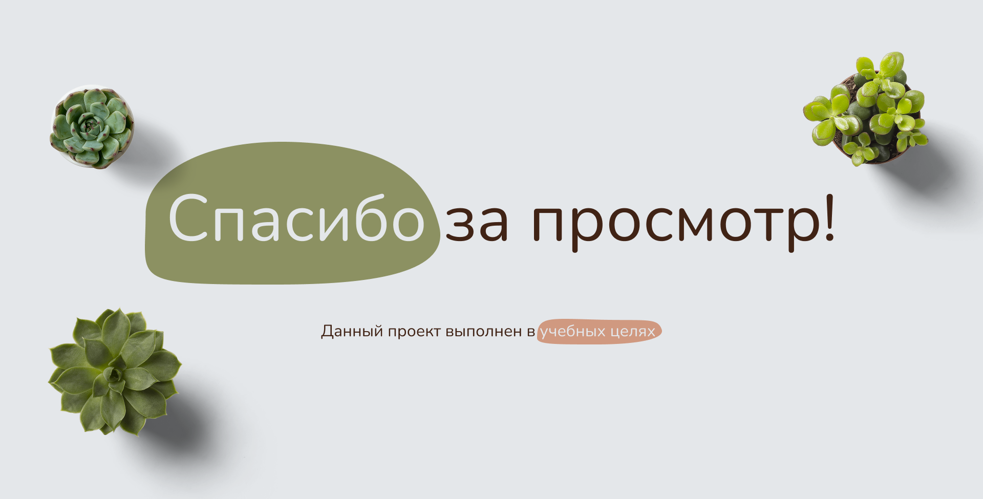 Интернет-магазин SUCCULENTIYM — Изображение №13 — Интерфейсы на Dprofile