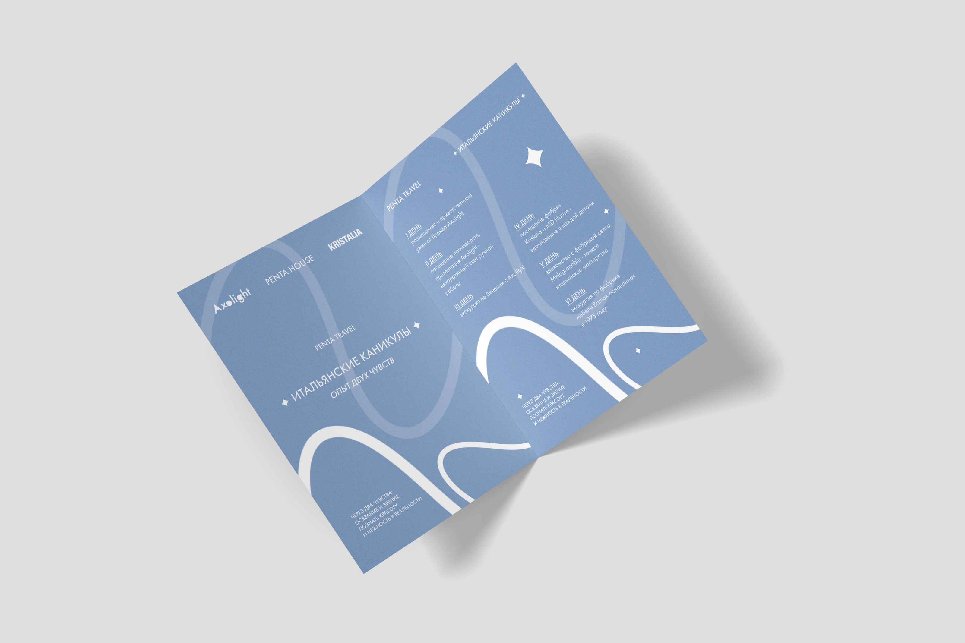 БРОШЮРА — Изображение №1 — Брендинг, Графика на Dprofile