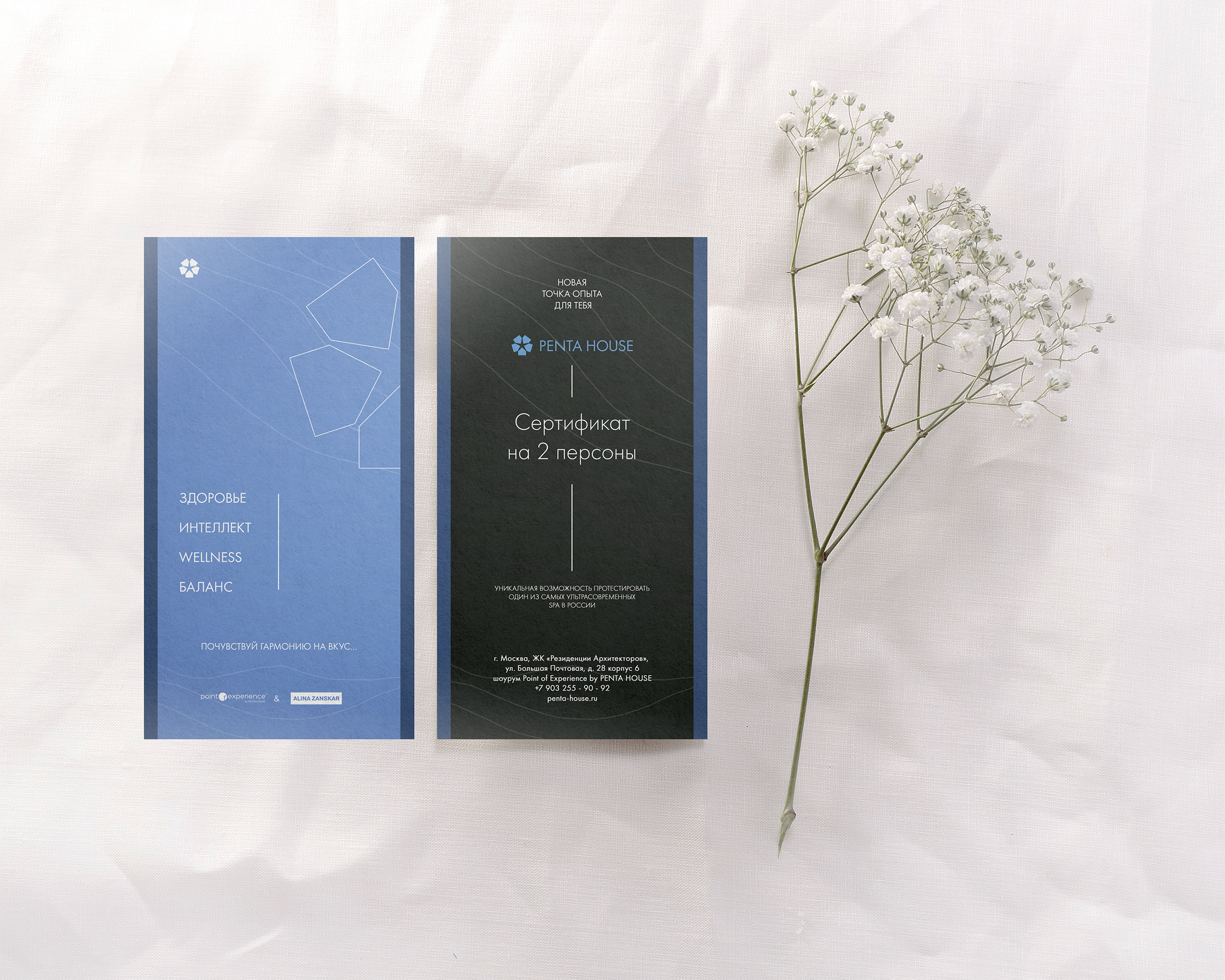 СЕРТИФИКАТ — Изображение №1 — Брендинг, Графика на Dprofile