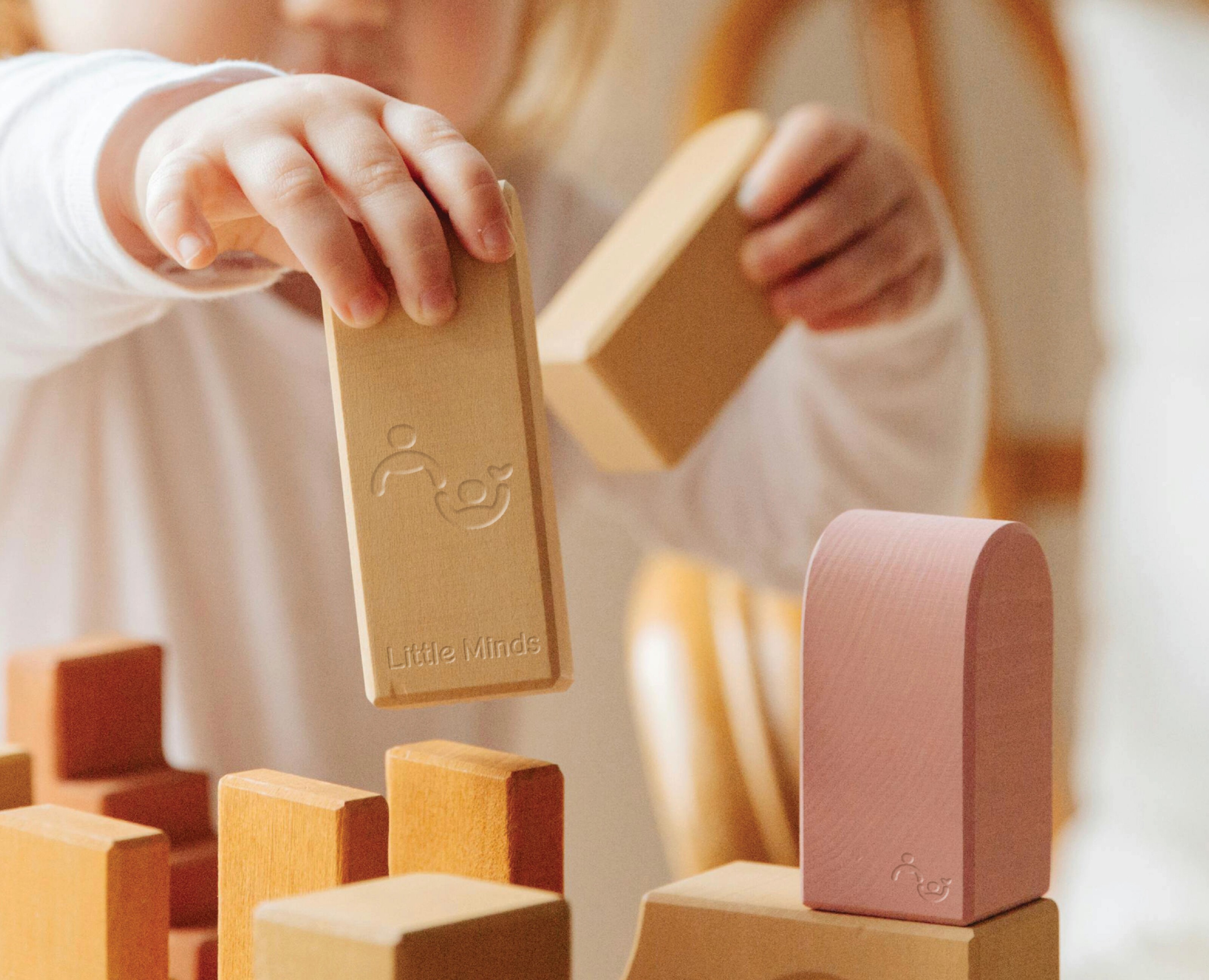 LITTLE MINDS Brain-building toys for kids: Branding — Брендинг, Графика на Dprofile