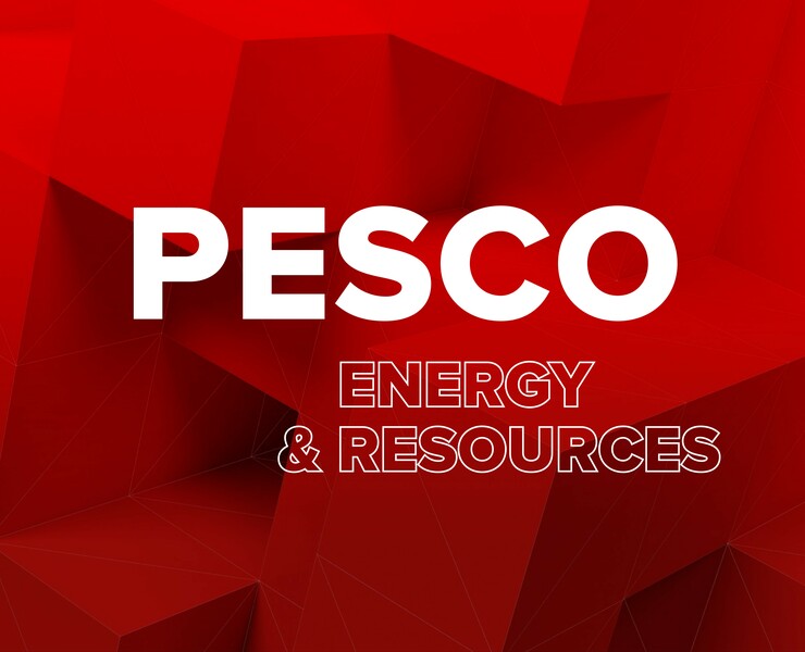 PESCO Energy & Resources — Интерфейсы на Dprofile