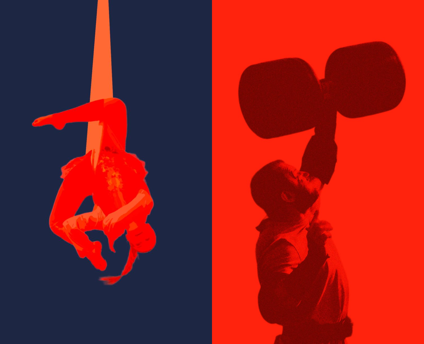 Тульский спорт — Брендинг на Dprofile