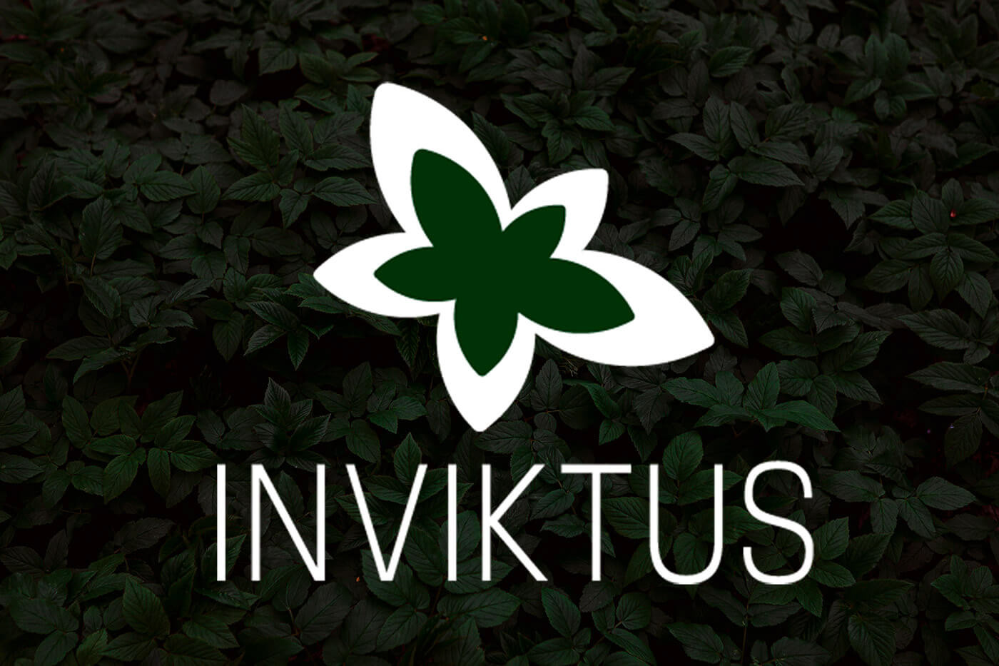 INVICTUS | Фирменный стиль органических удобрений — Изображение №1 — Брендинг, Графика на Dprofile