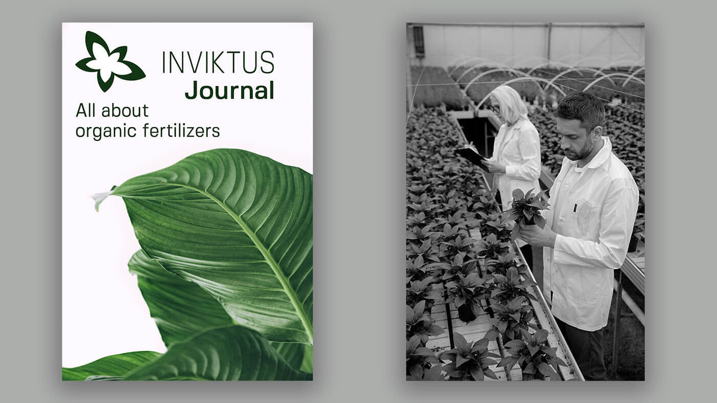INVICTUS | Фирменный стиль органических удобрений — Изображение №10 — Брендинг, Графика на Dprofile
