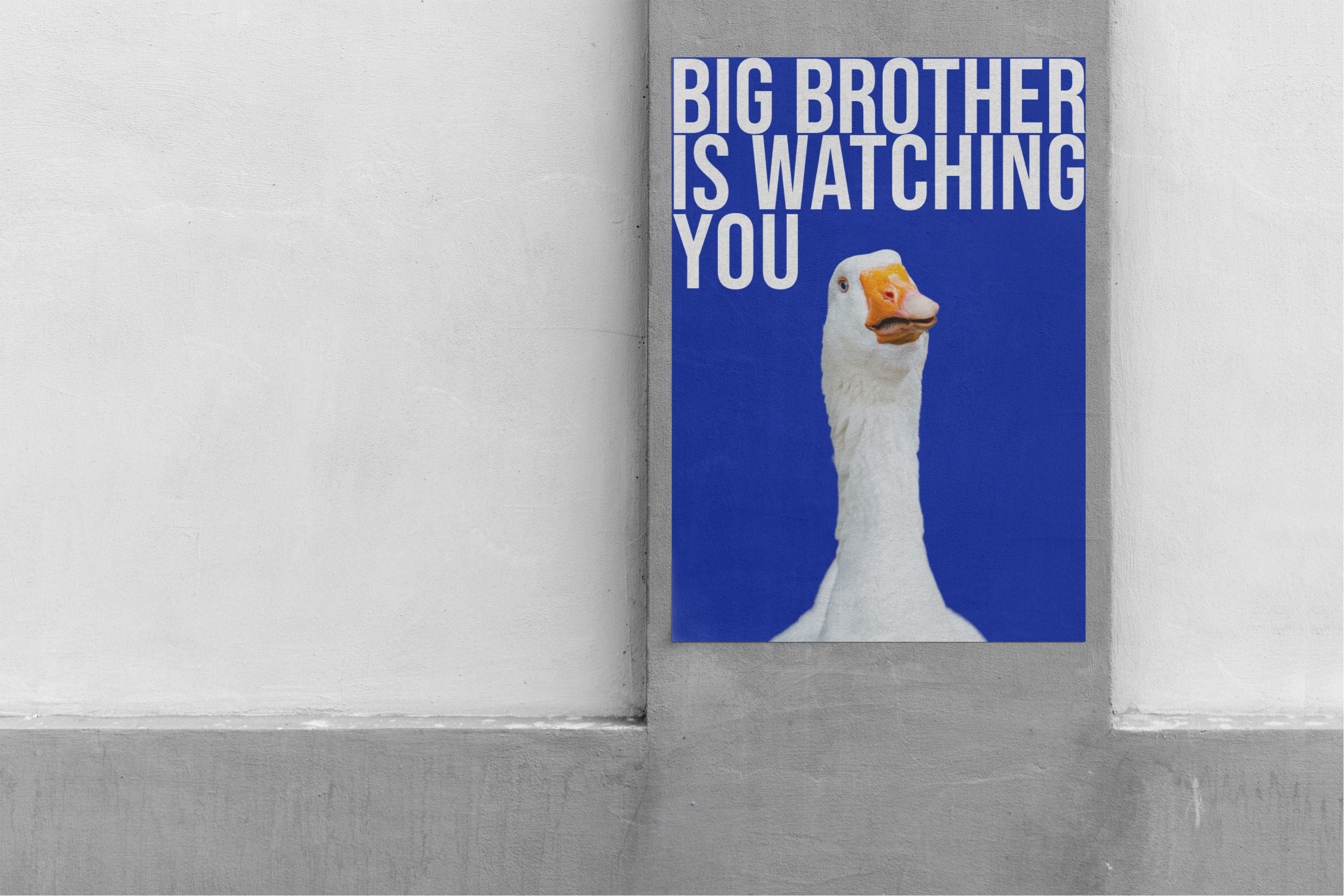 Постер "Большой брат следит за тобой" — Изображение №1 — Иллюстрация на Dprofile