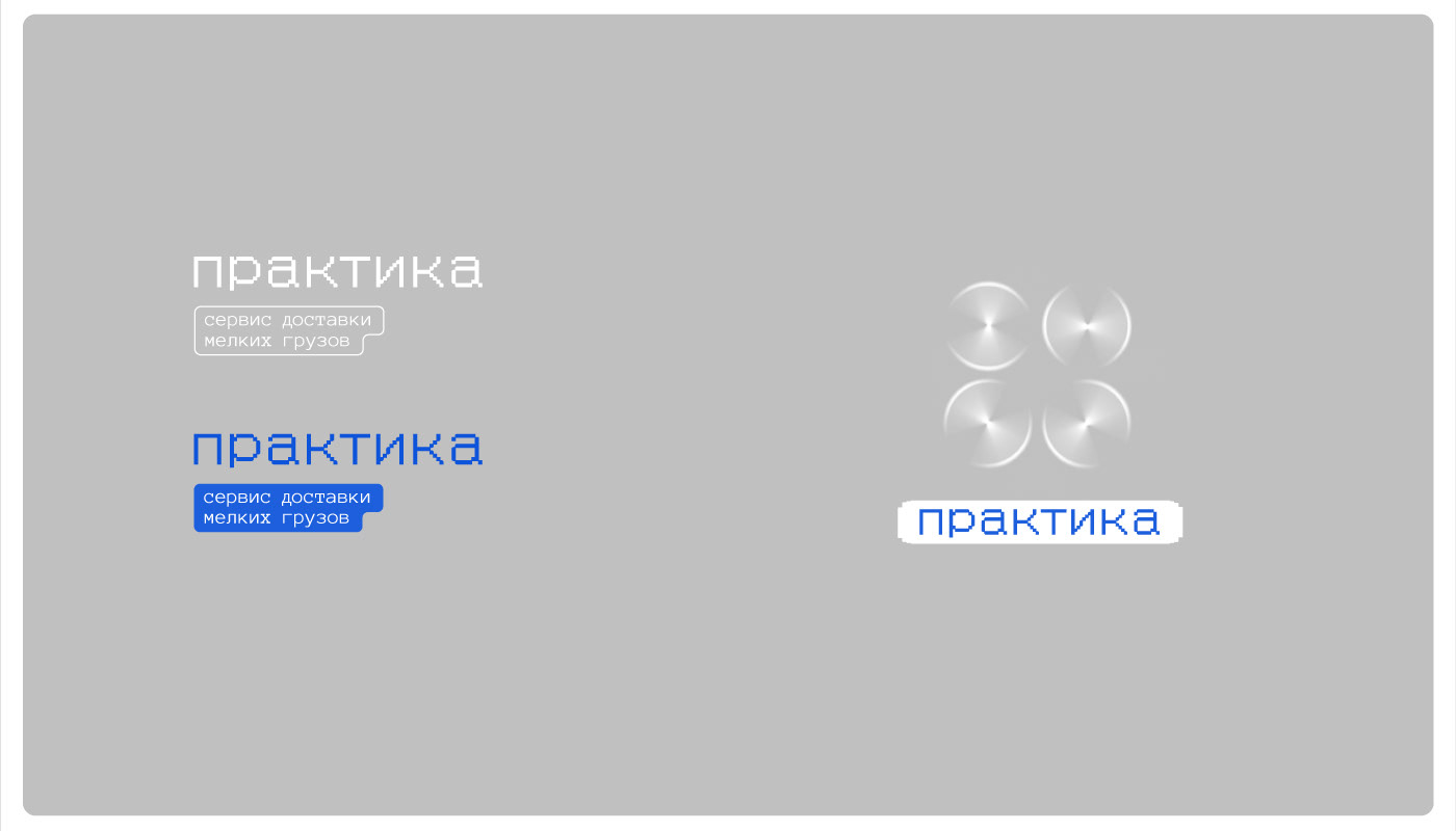 Praktika drone delivery — Изображение №1 — Брендинг, Графика на Dprofile