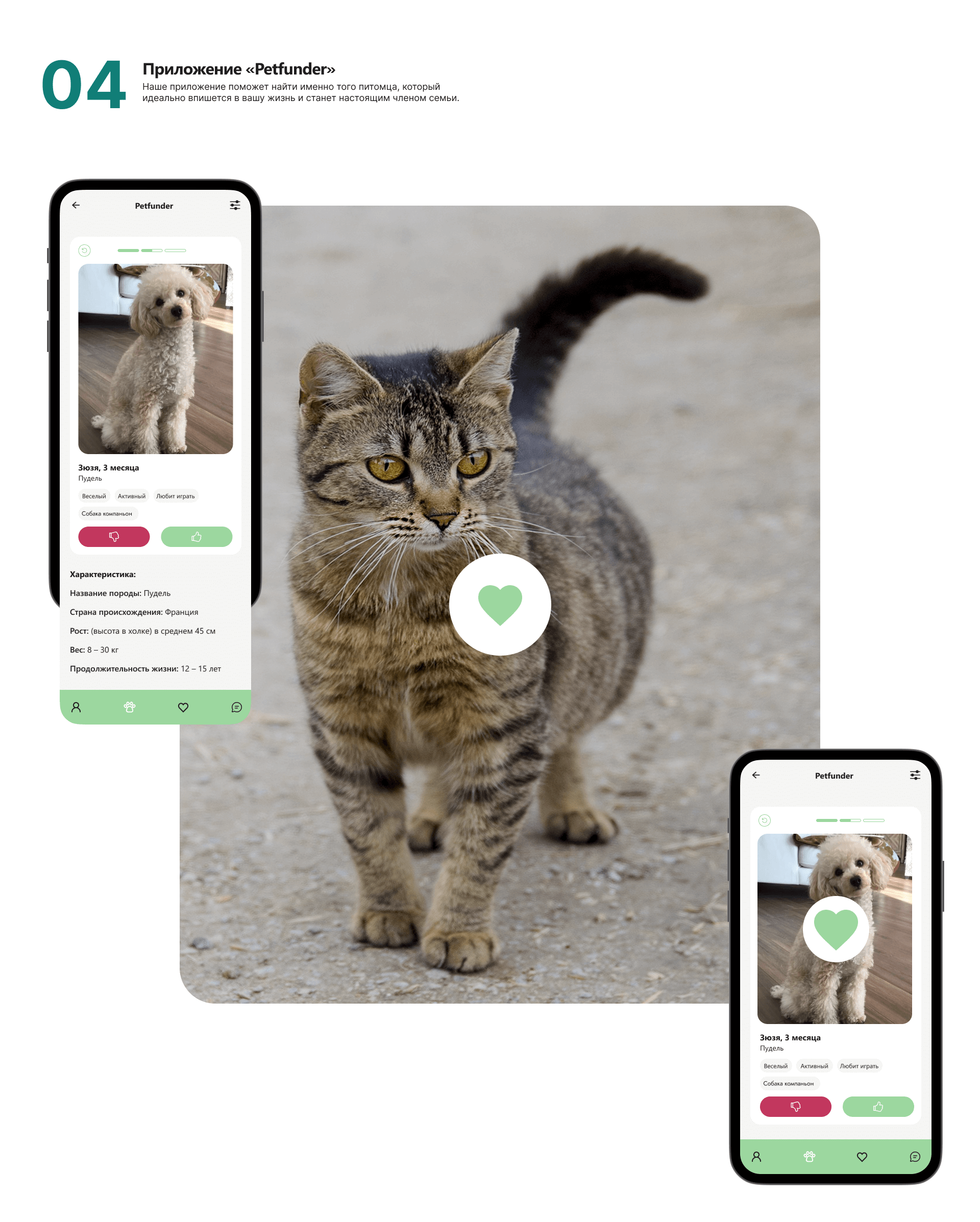 Petfunder - приложение для поиска животных — Изображение №6 — Интерфейсы на Dprofile