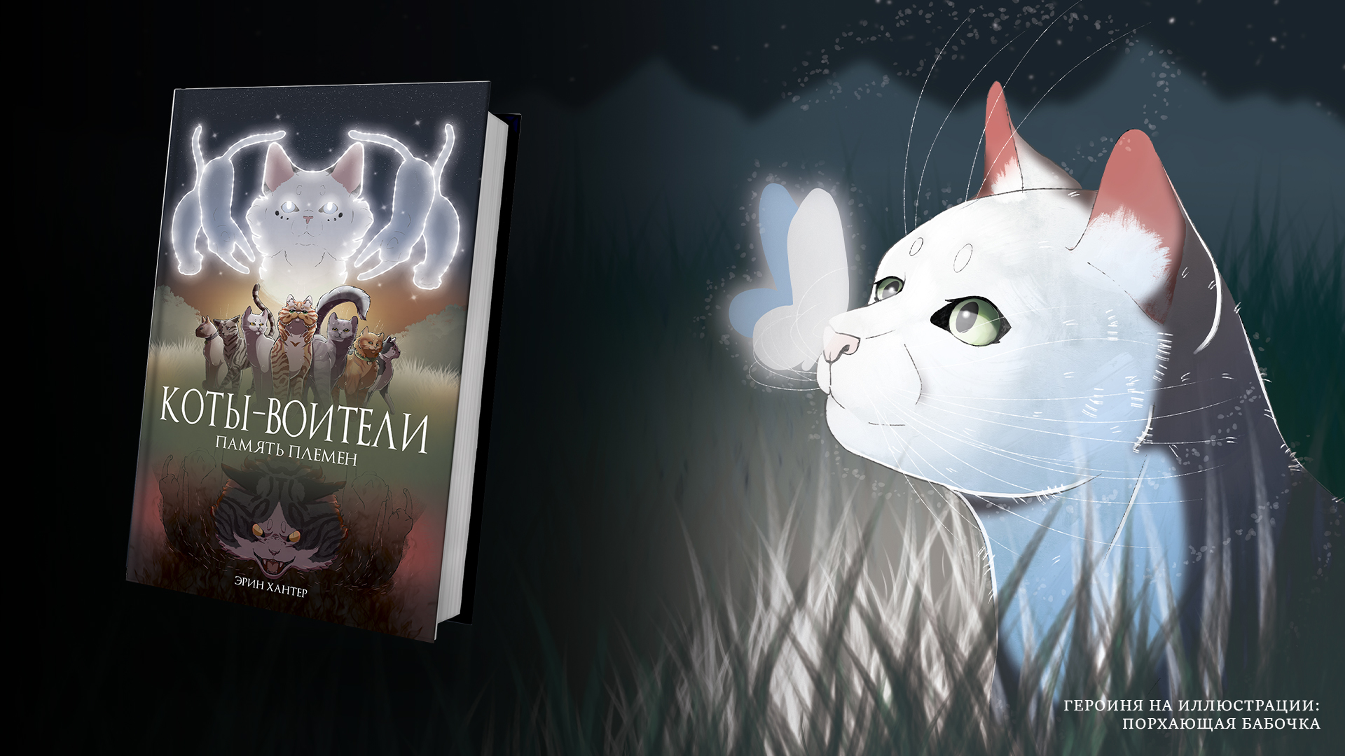 Книга-путеводитель "Коты-воители: Память племен" — Изображение №2 — Иллюстрация на Dprofile