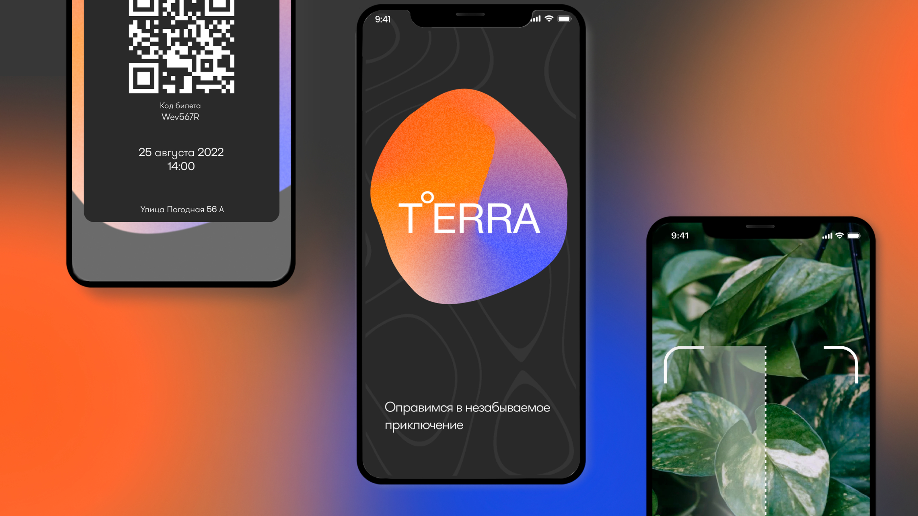 TERRA — Изображение №3 — Брендинг на Dprofile