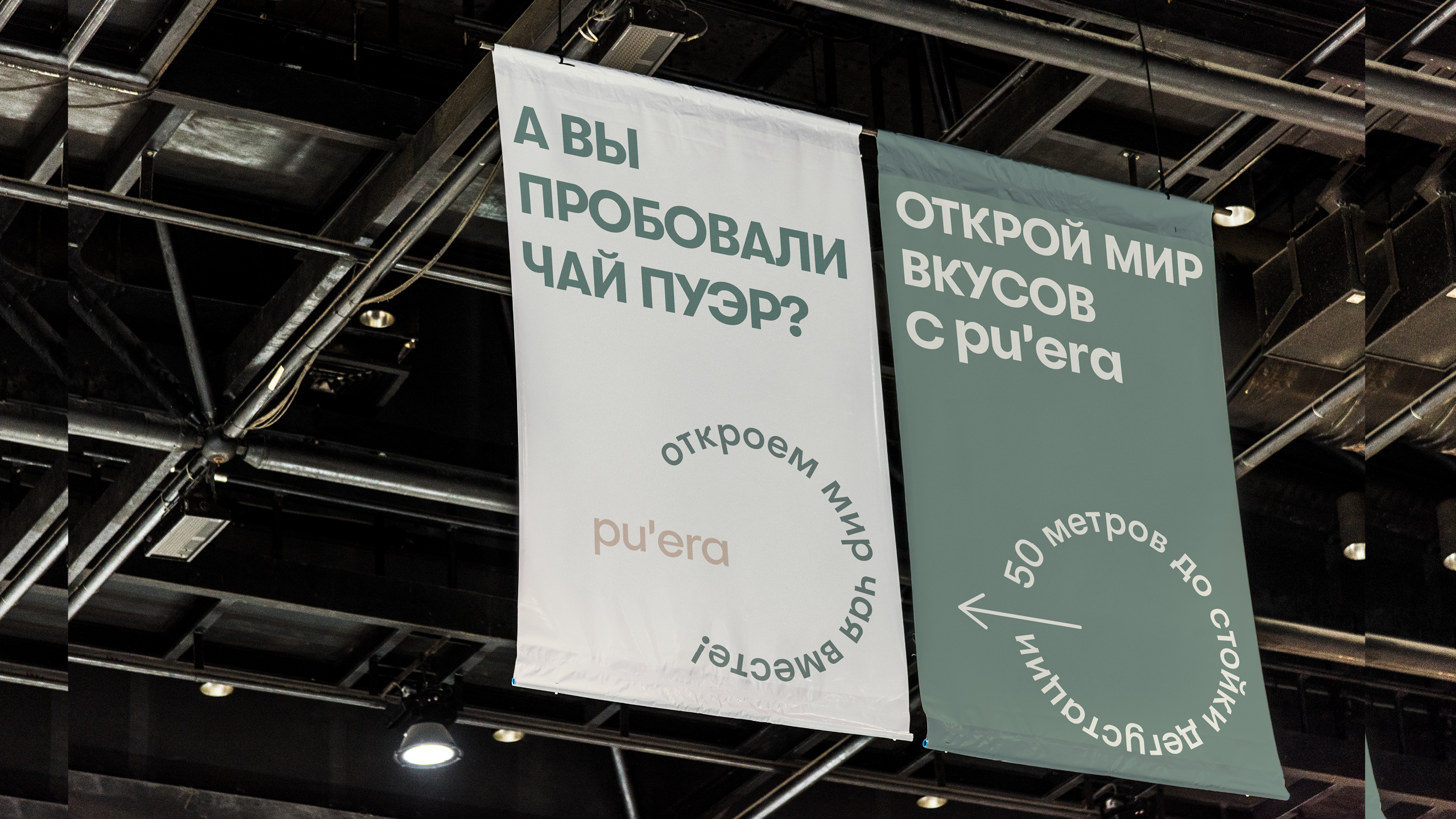 Упаковка для бренда чая pu'era — Изображение №2 — Брендинг на Dprofile