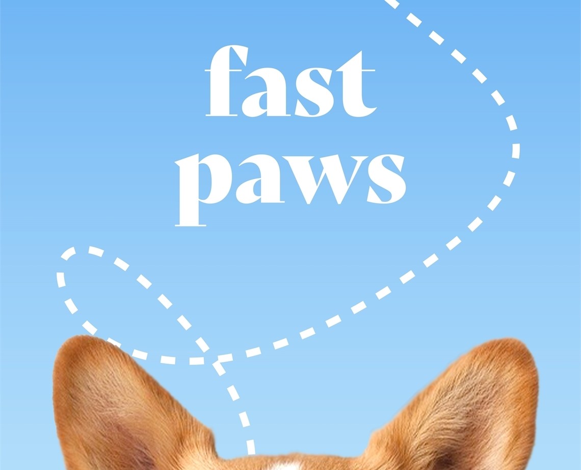 FAST PAWS — Интерфейсы на Dprofile