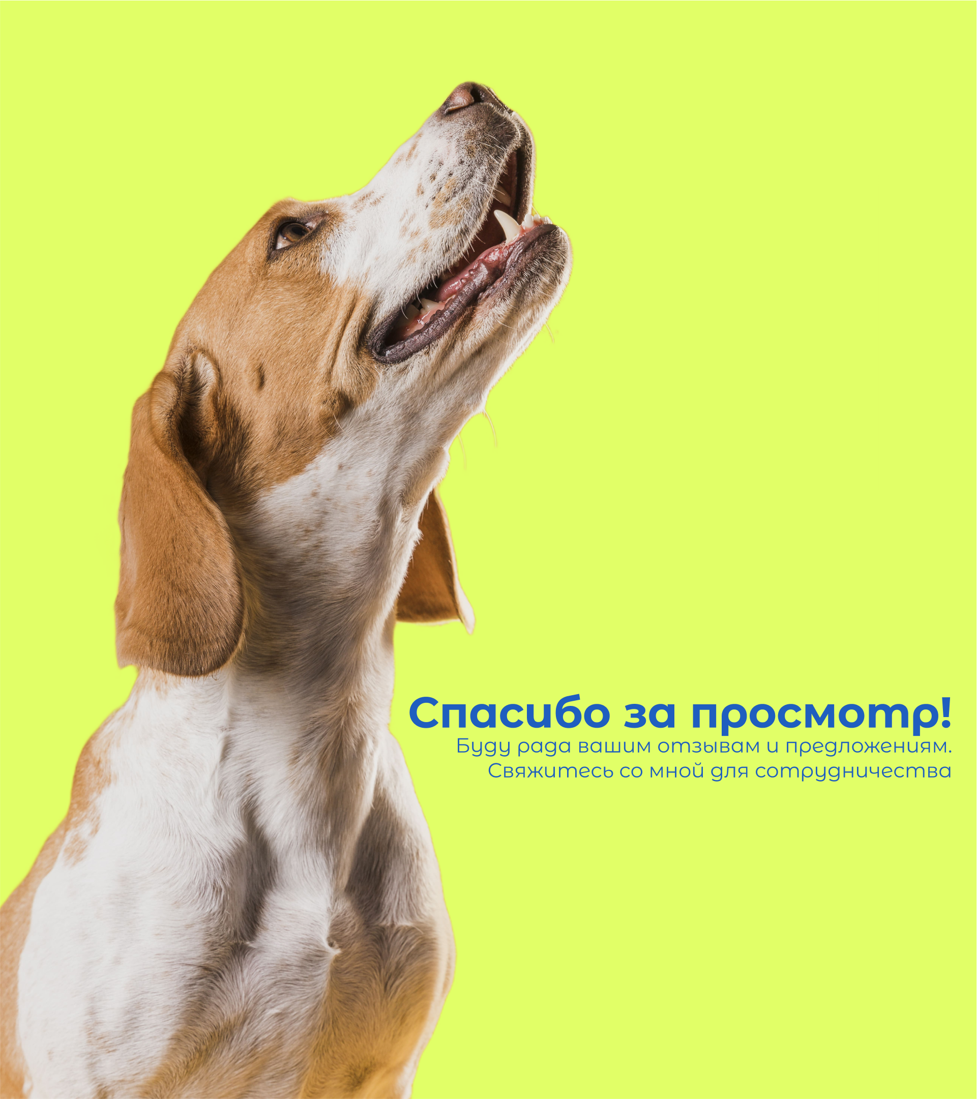 Логотип ветеринарной клиники | DOCDOG — Изображение №11 — Брендинг, Графика на Dprofile