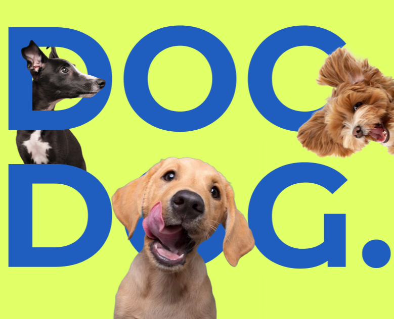 Логотип ветеринарной клиники | DOCDOG — Брендинг, Графика на Dprofile
