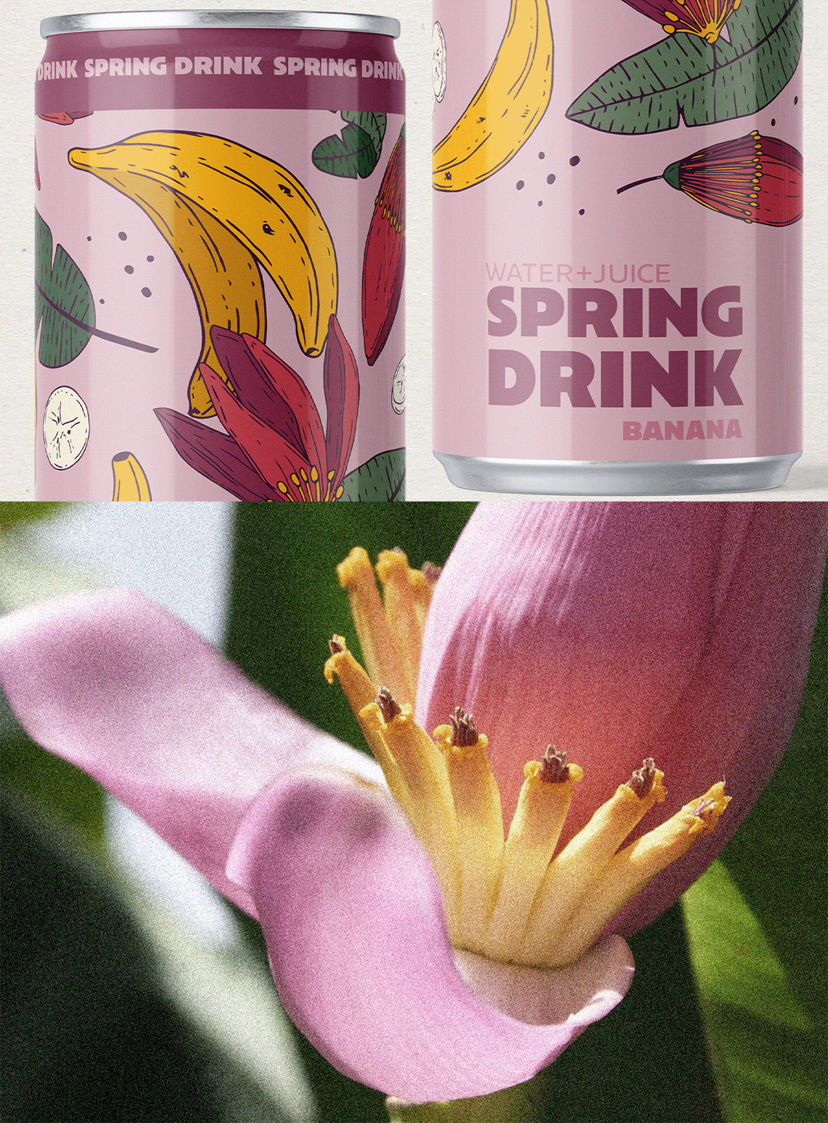 SPRING DRINK package design — Изображение №6 — Брендинг, Иллюстрация на Dprofile