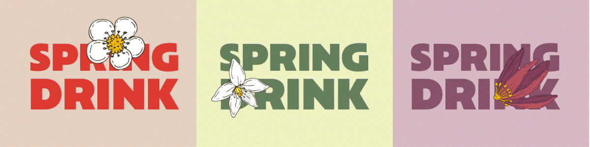 SPRING DRINK package design — Изображение №2 — Брендинг, Иллюстрация на Dprofile
