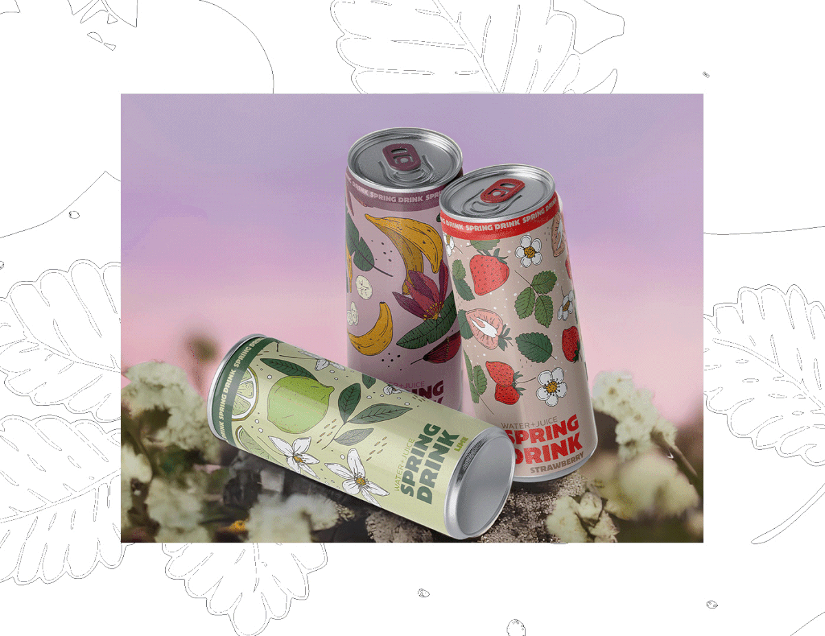SPRING DRINK package design — Изображение №7 — Брендинг, Иллюстрация на Dprofile