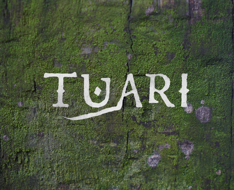 TUARI logo and promo — Брендинг на Dprofile