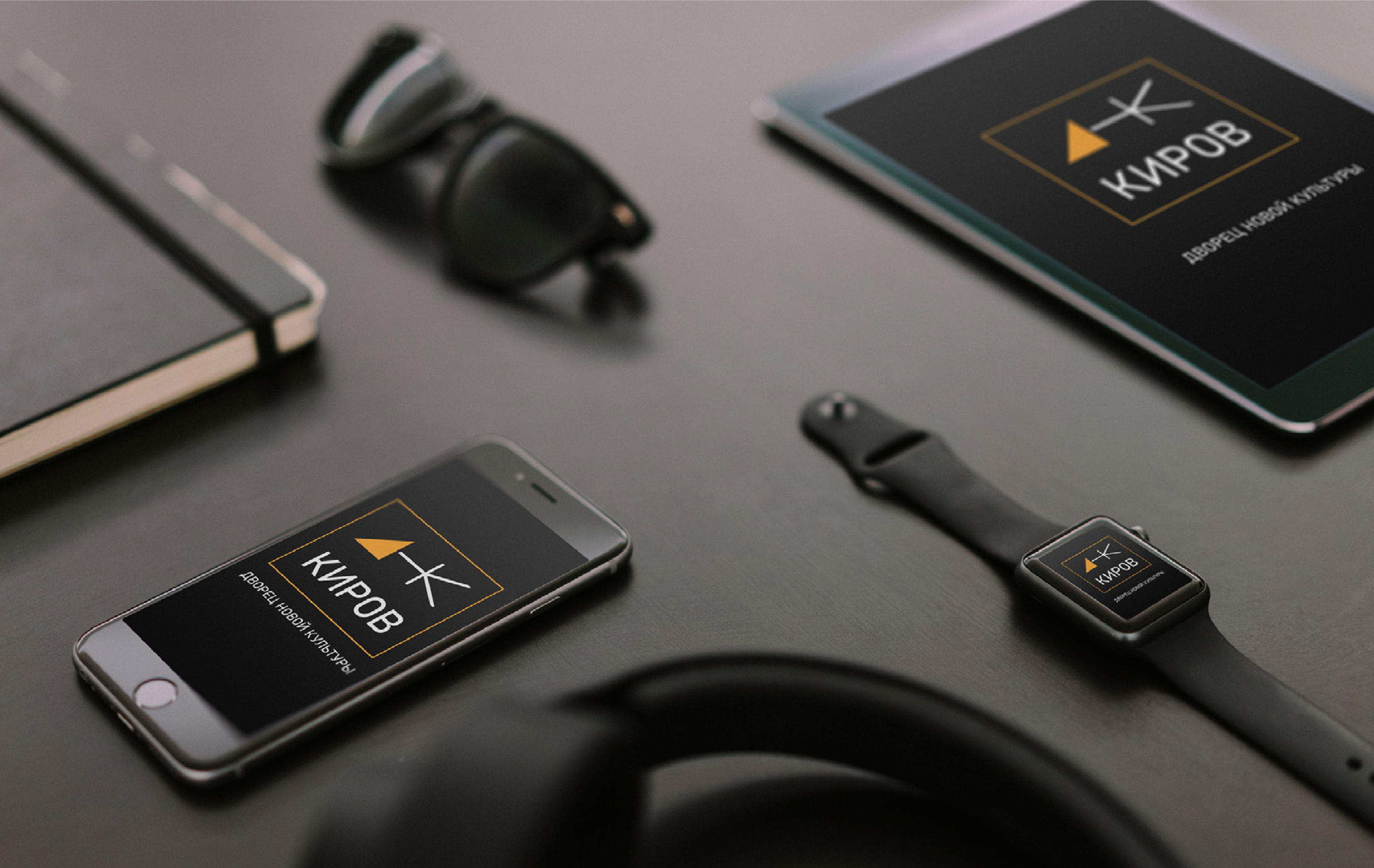 Логотип «ДНК Киров» — Изображение №4 — Брендинг, Графика на Dprofile