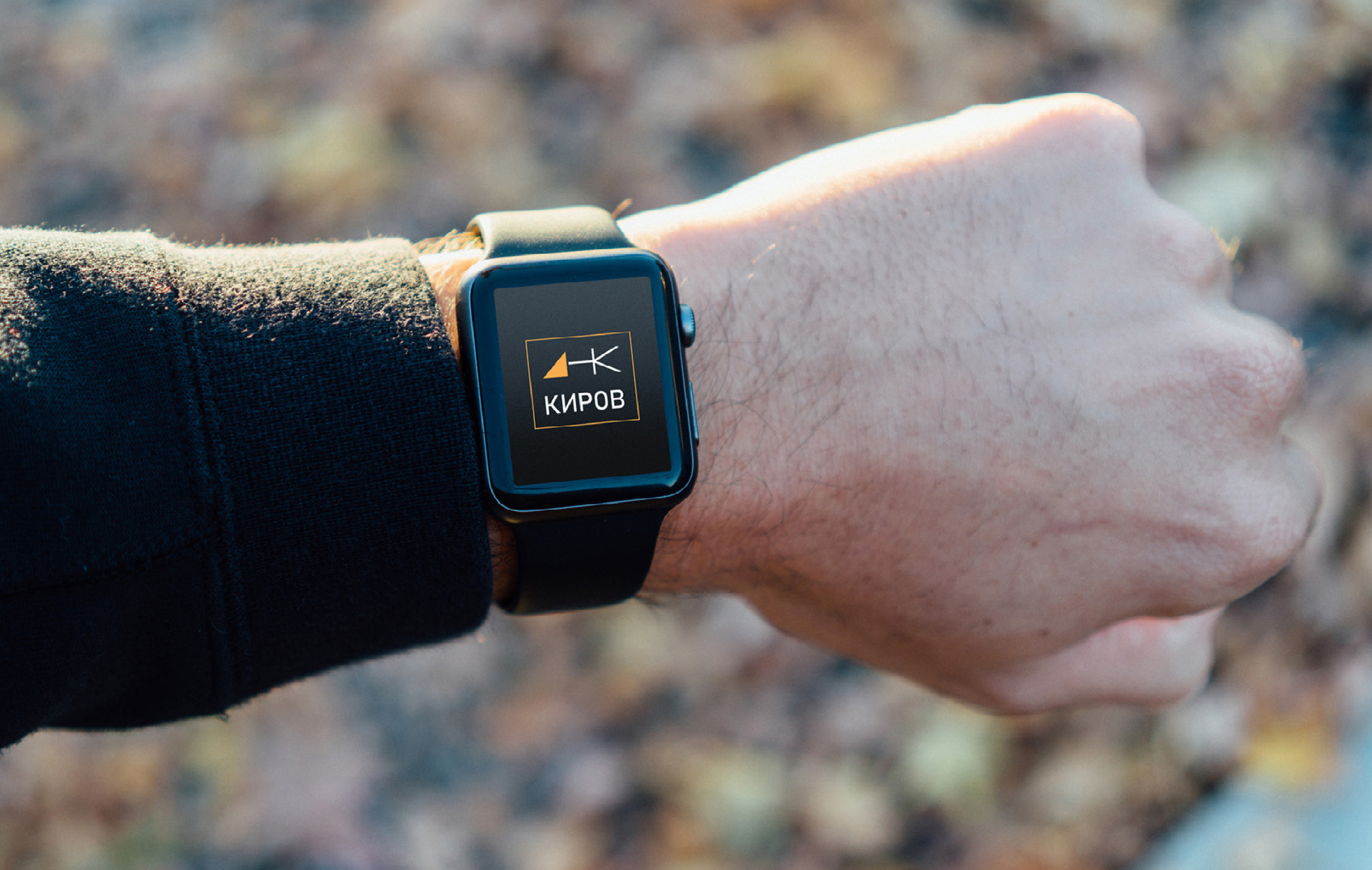 Логотип «ДНК Киров» — Изображение №8 — Брендинг, Графика на Dprofile