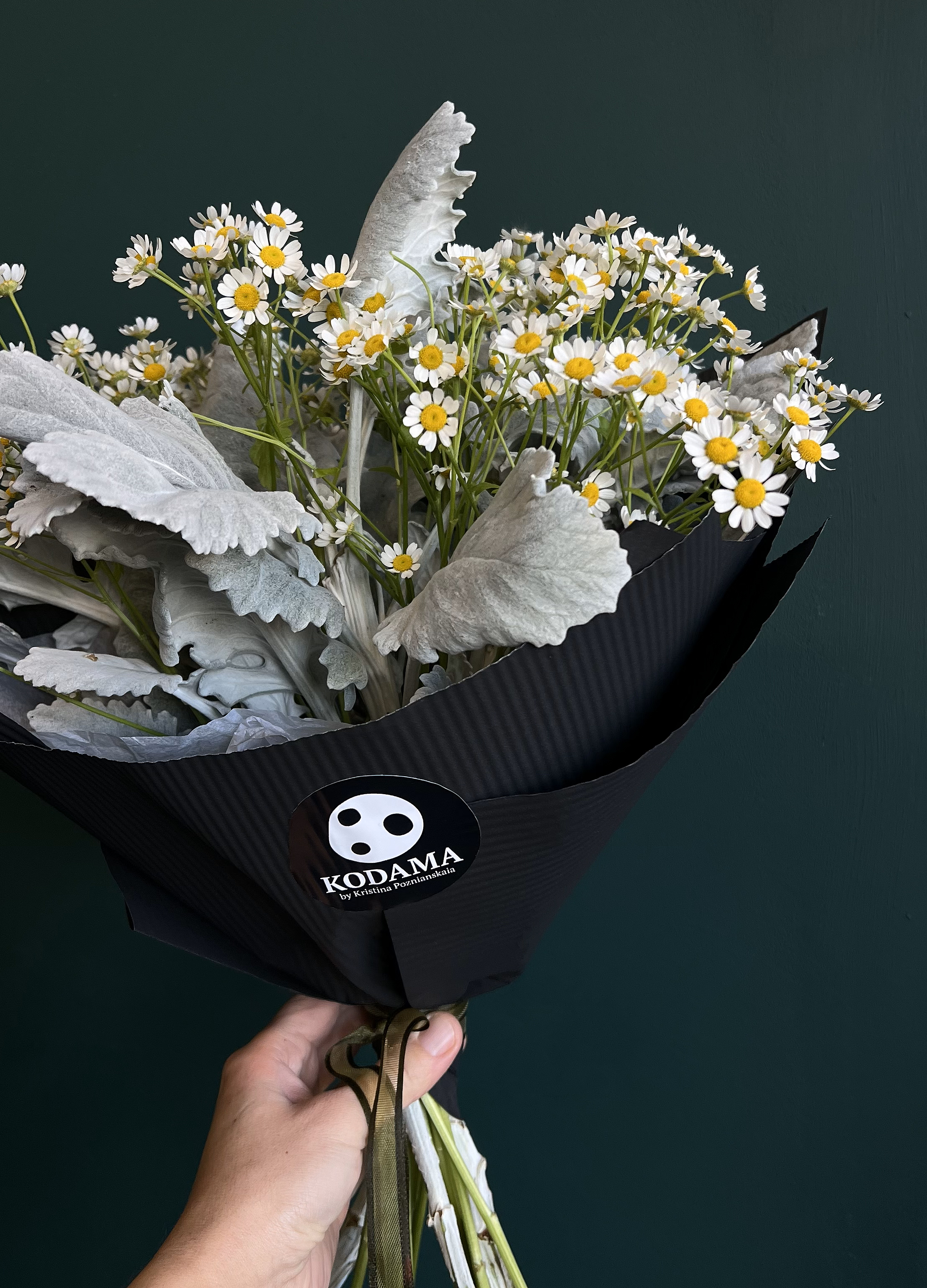 Фирменный стиль магазина «KODAMA» — Изображение №10 — Брендинг, Графика на Dprofile