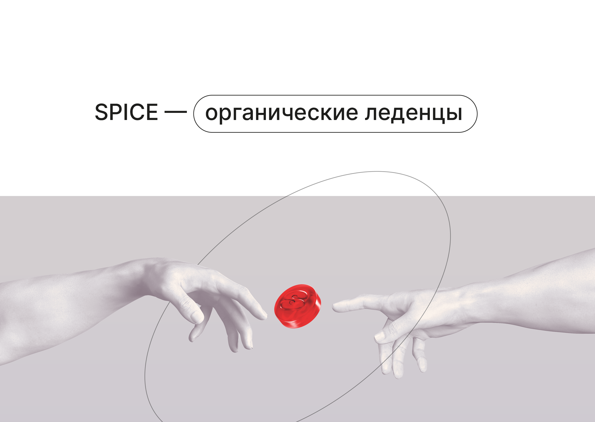 SPICE CANDIES — Изображение №1 — Брендинг на Dprofile