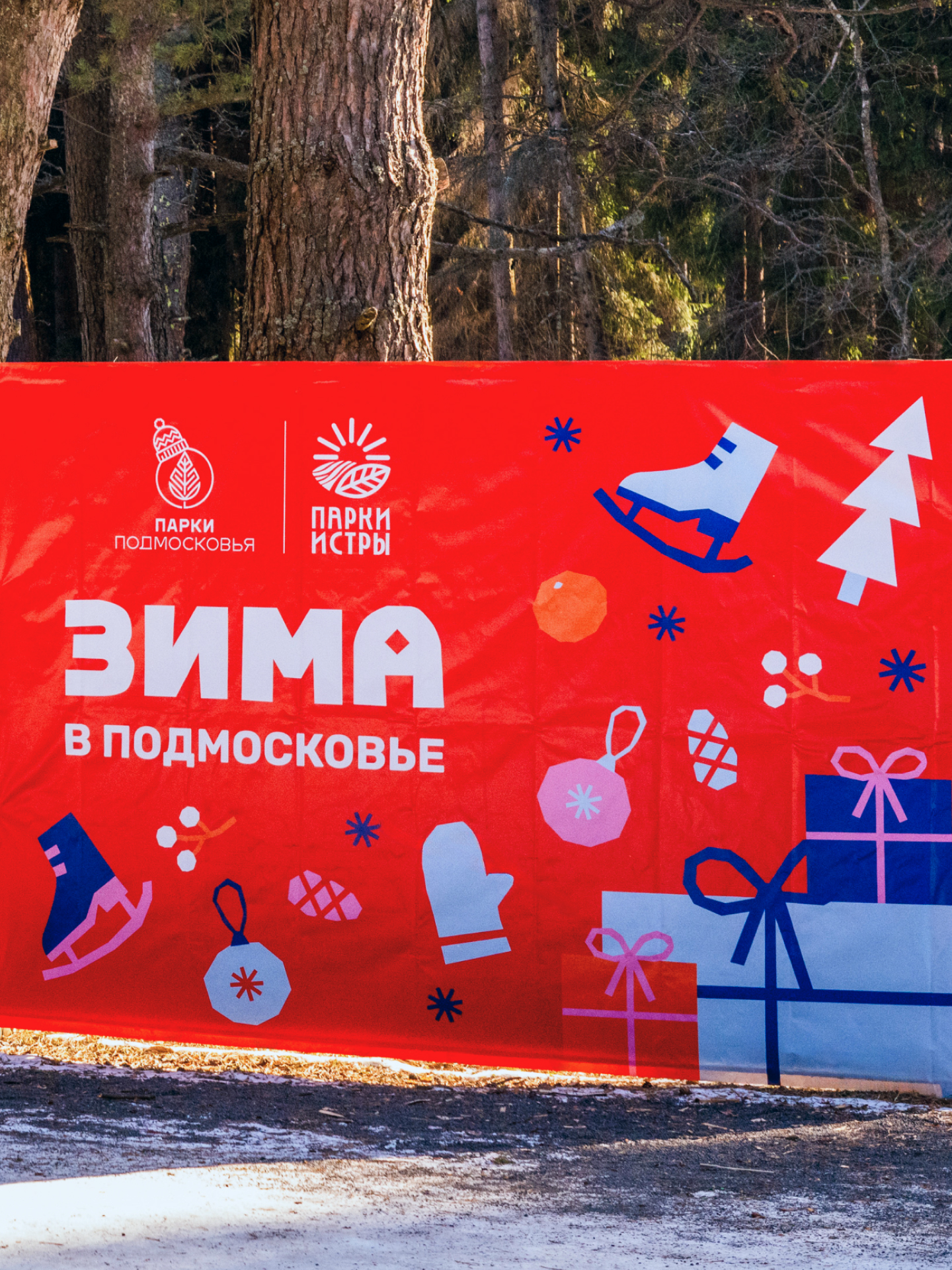 Зима в Подмосковье 2025 — Изображение №12 — Брендинг на Dprofile