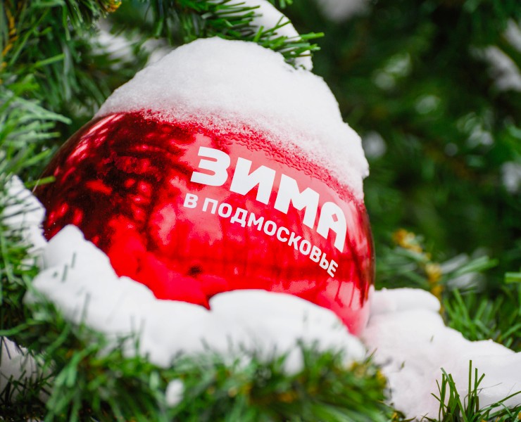 Зима в Подмосковье 2025 на Dprofile