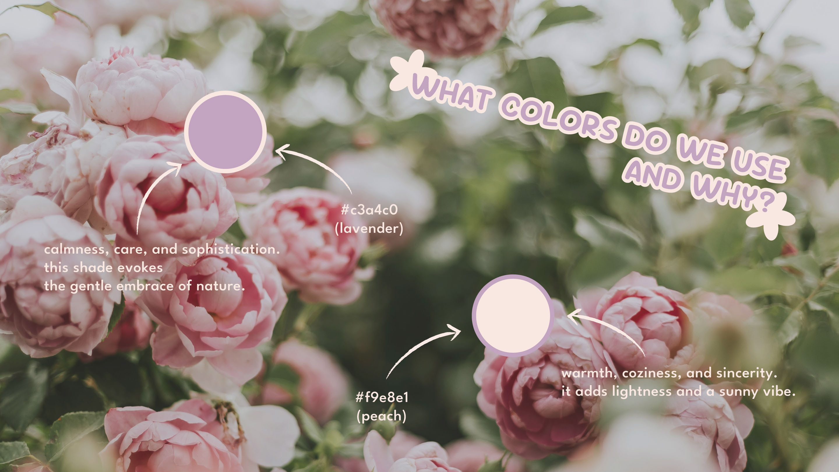 Floruddle | Brand Identity — Изображение №10 — Брендинг, Графика на Dprofile