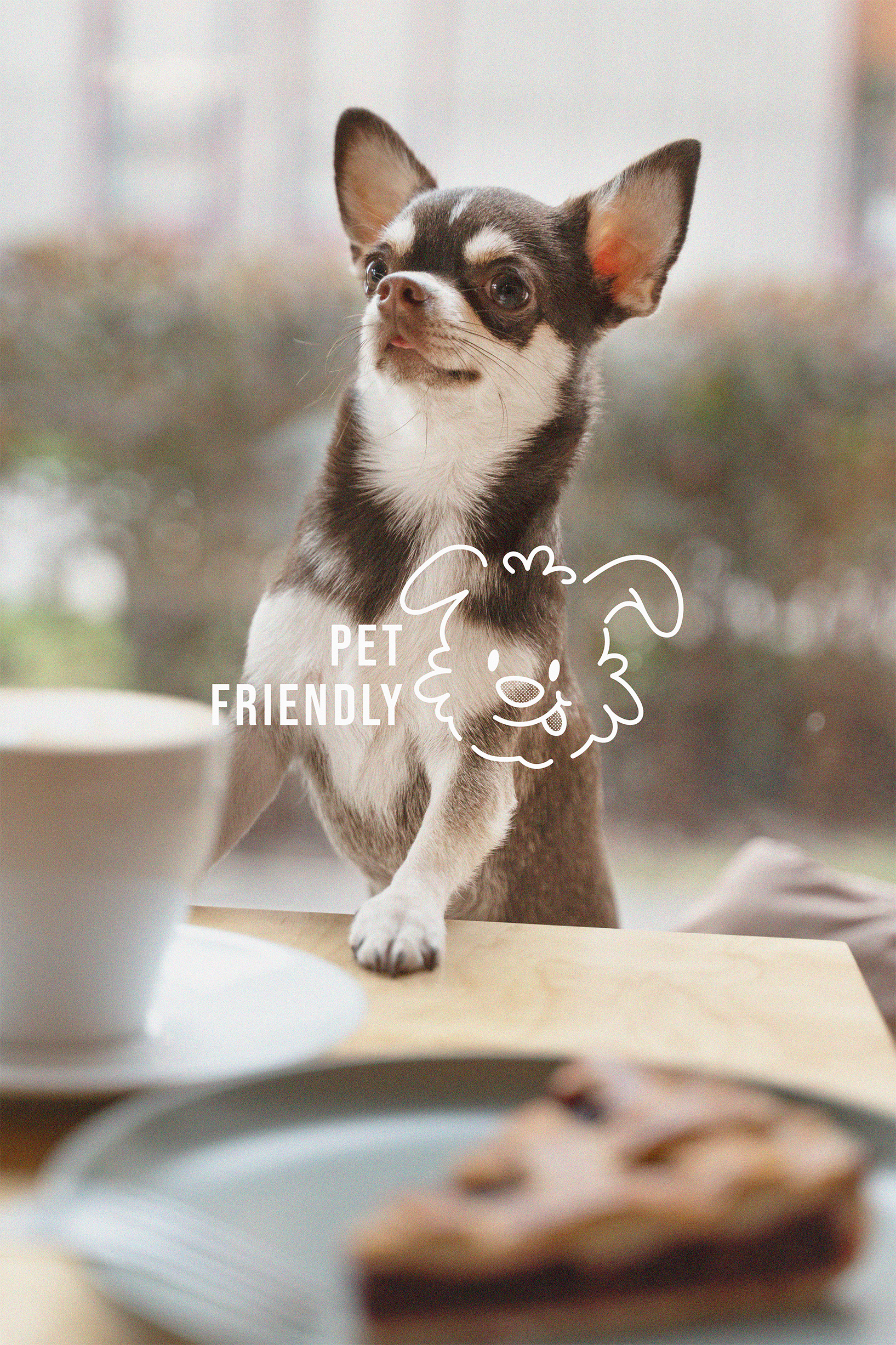 Cherriesh Coffee | Brand Identity — Изображение №7 — Брендинг, Графика на Dprofile