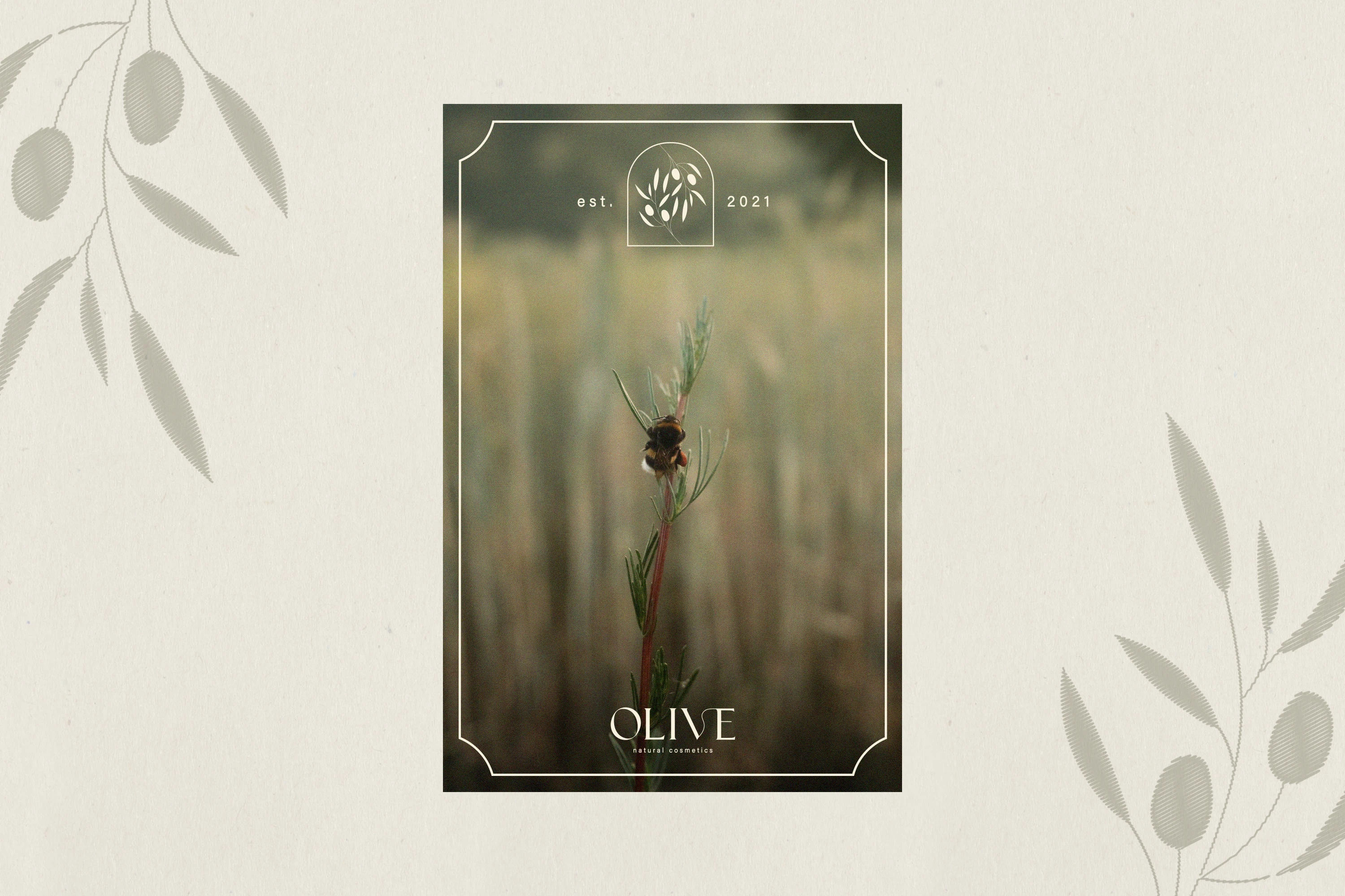 OLIVE | Фирменный стиль для бренда натуральной косметики — Изображение №14 — Брендинг на Dprofile