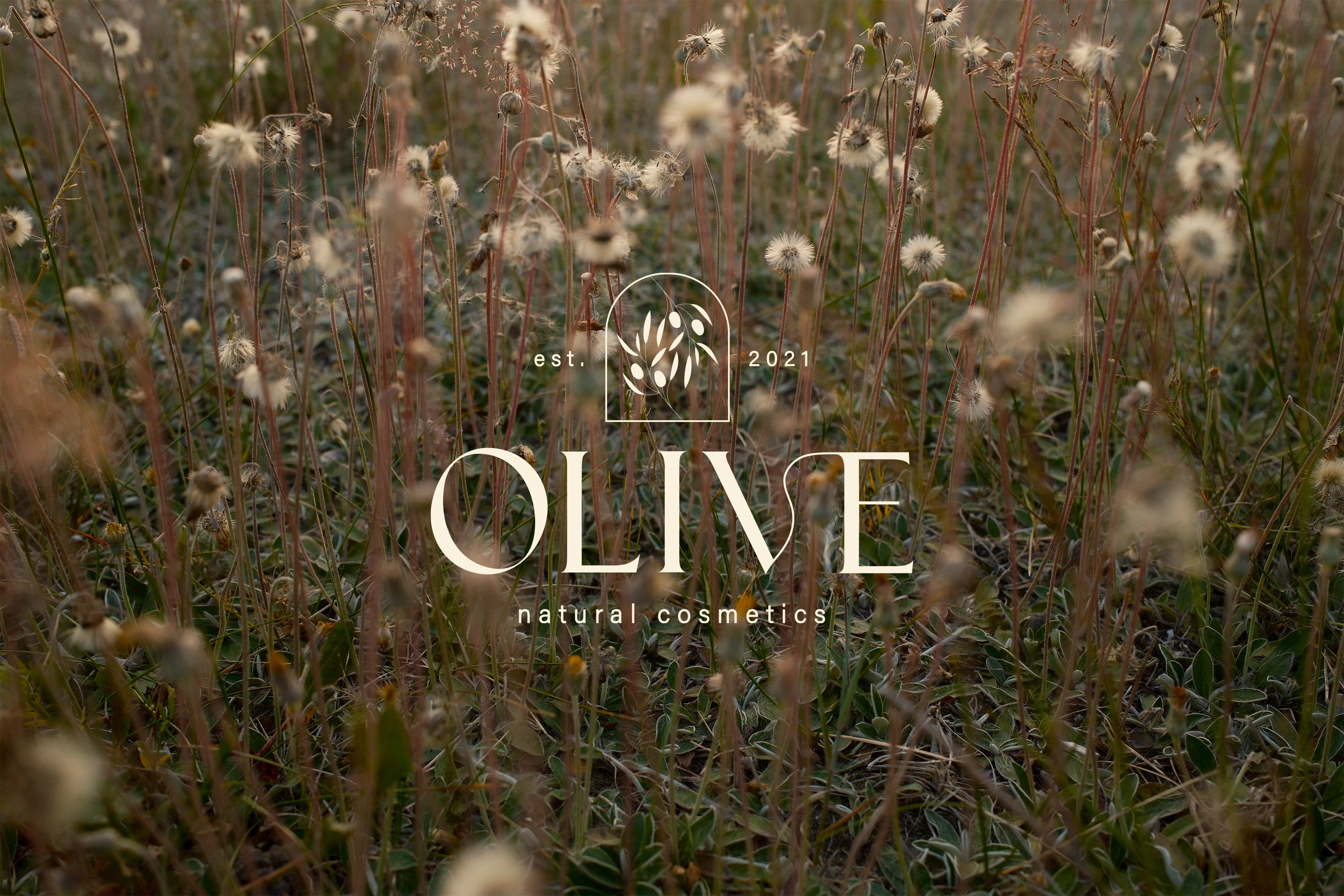 OLIVE | Фирменный стиль для бренда натуральной косметики — Изображение №3 — Брендинг на Dprofile